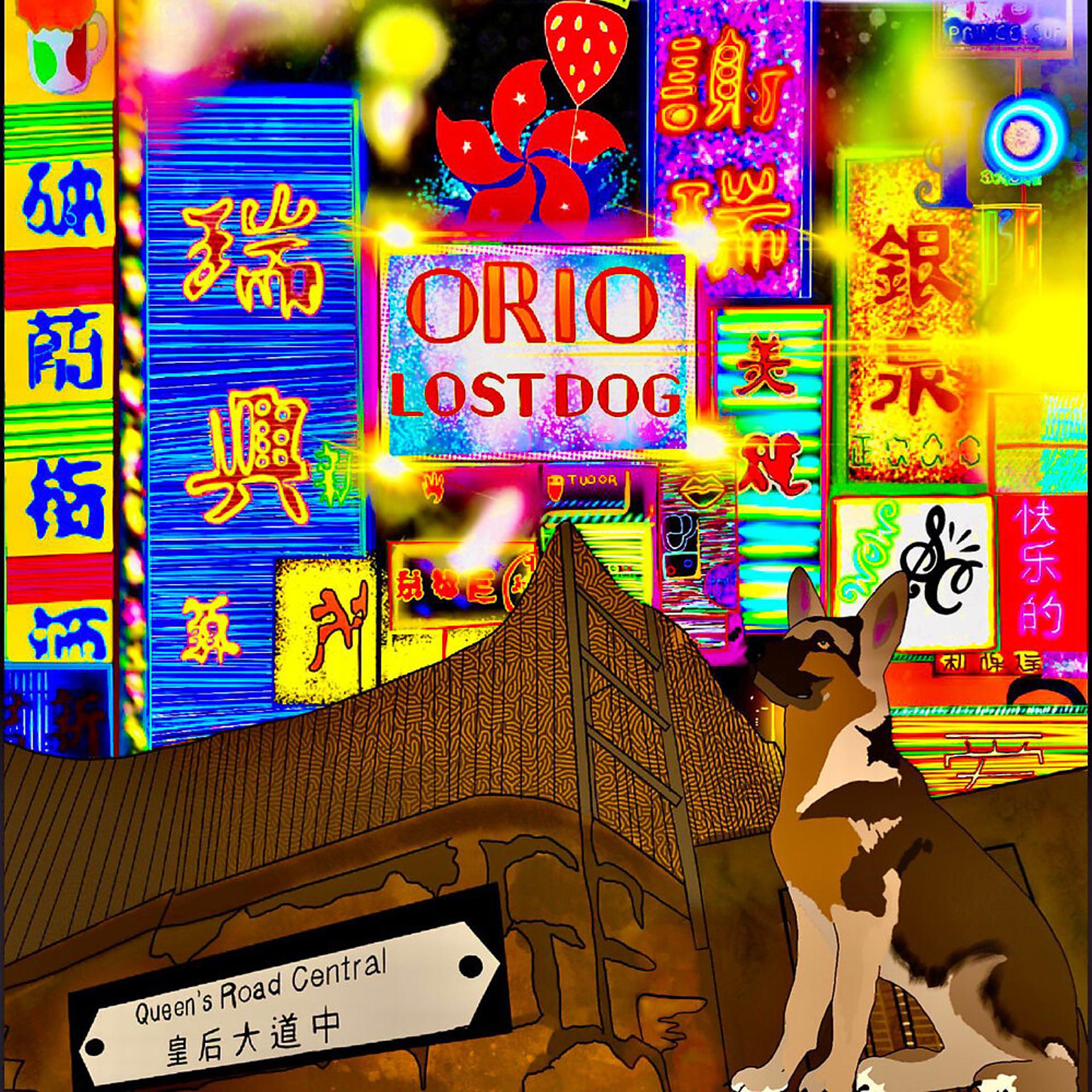 Постер альбома Lost Dog
