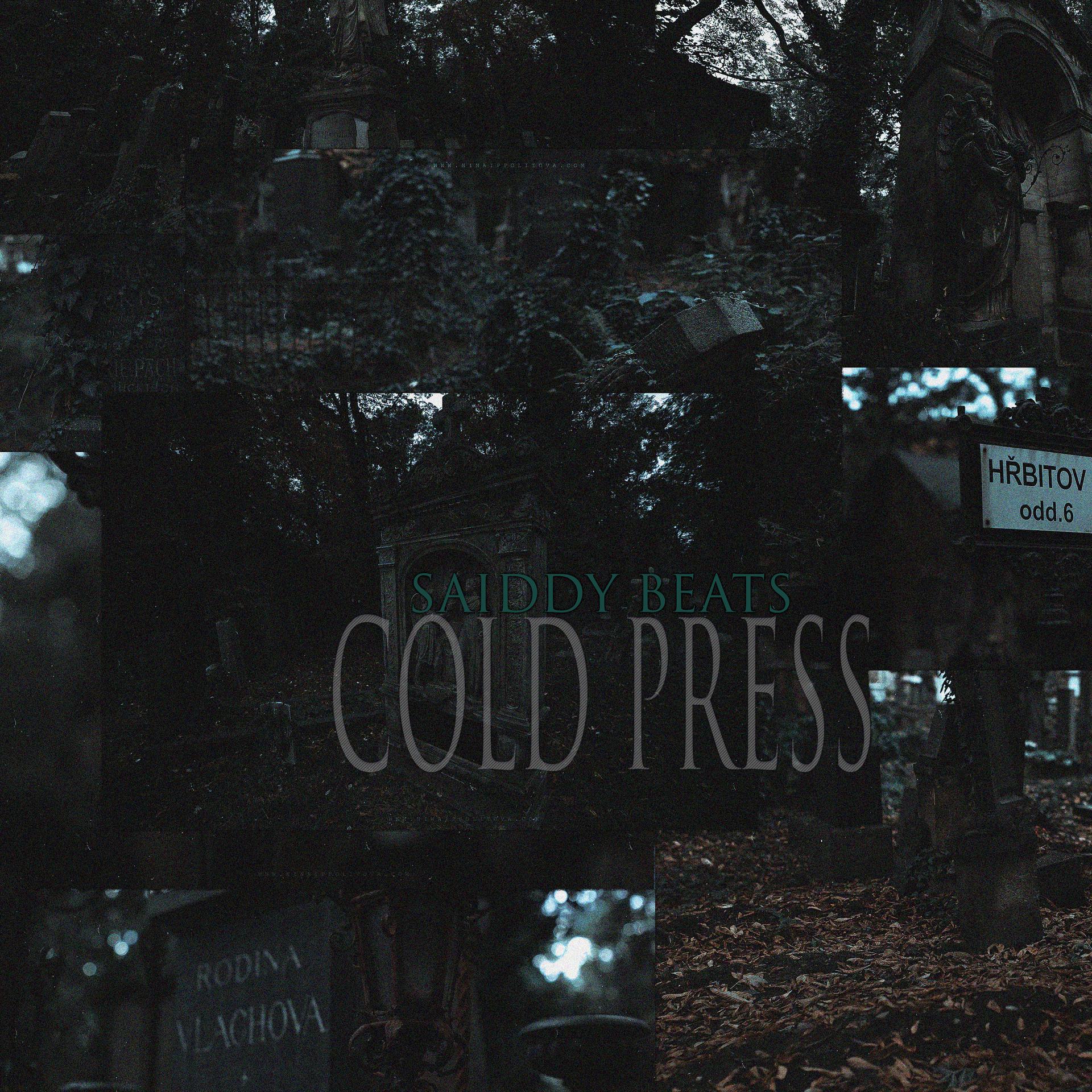 Постер альбома Cold Press