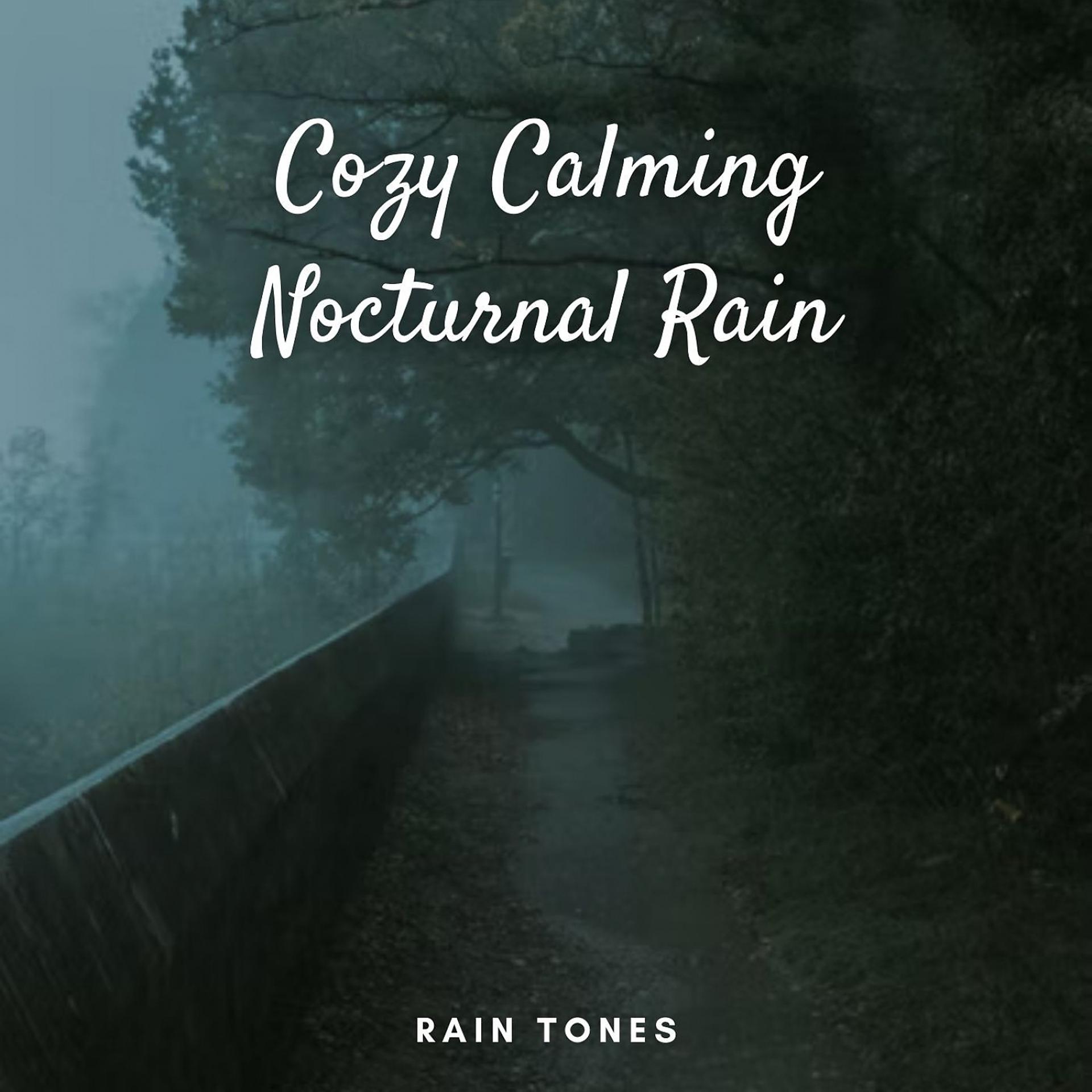 Постер альбома Rain Tones: Cozy Calming Nocturnal Rain