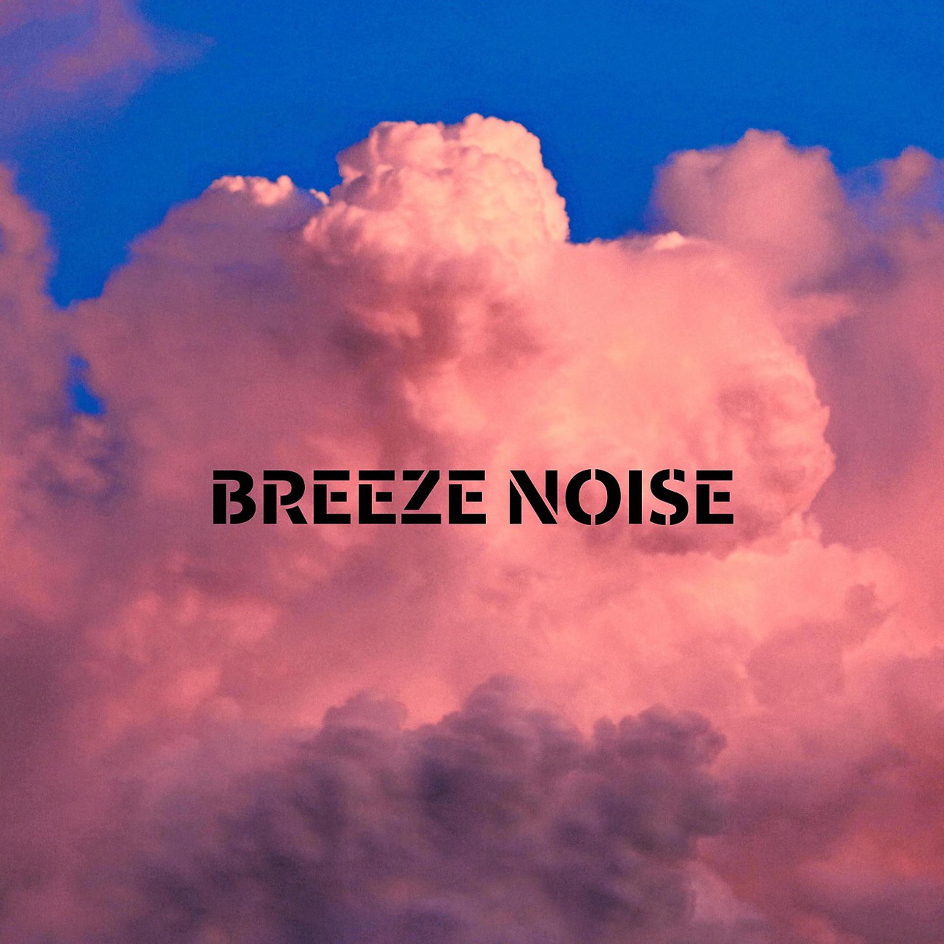 Постер альбома Breeze Noise