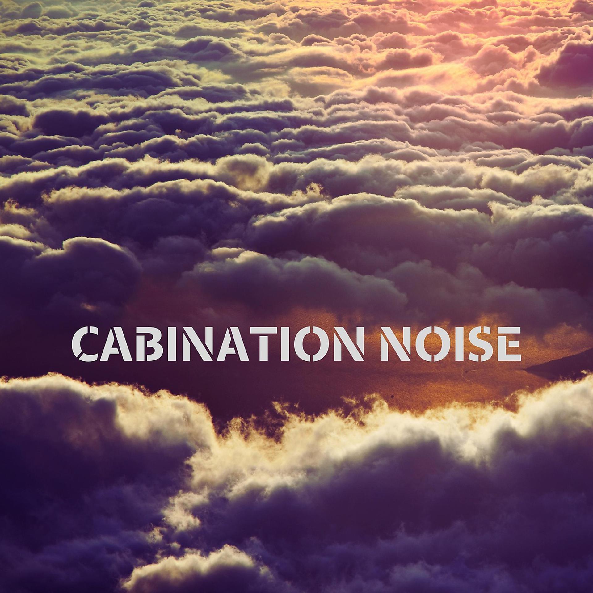 Постер альбома Cabination Noise