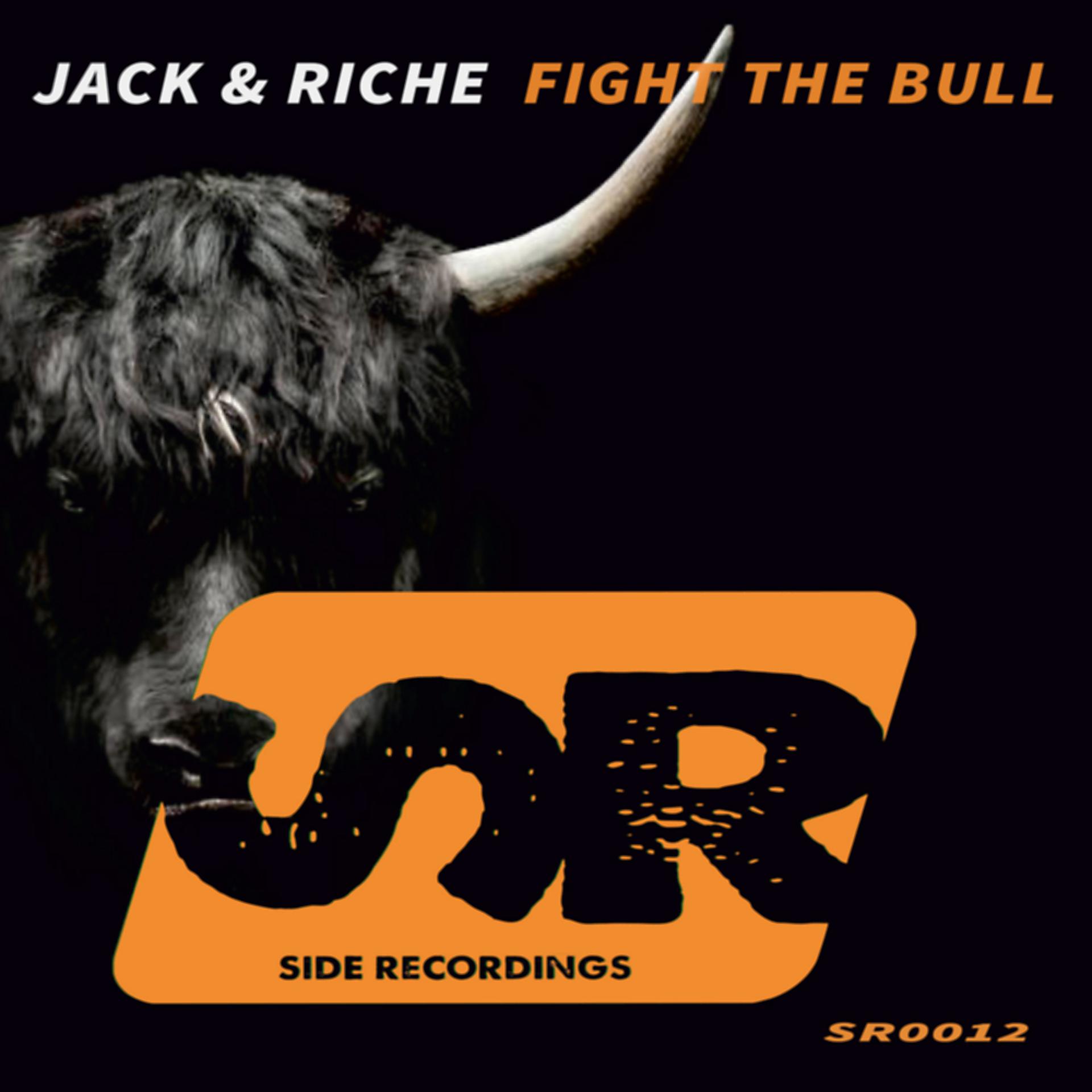 Постер альбома Fight The Bull