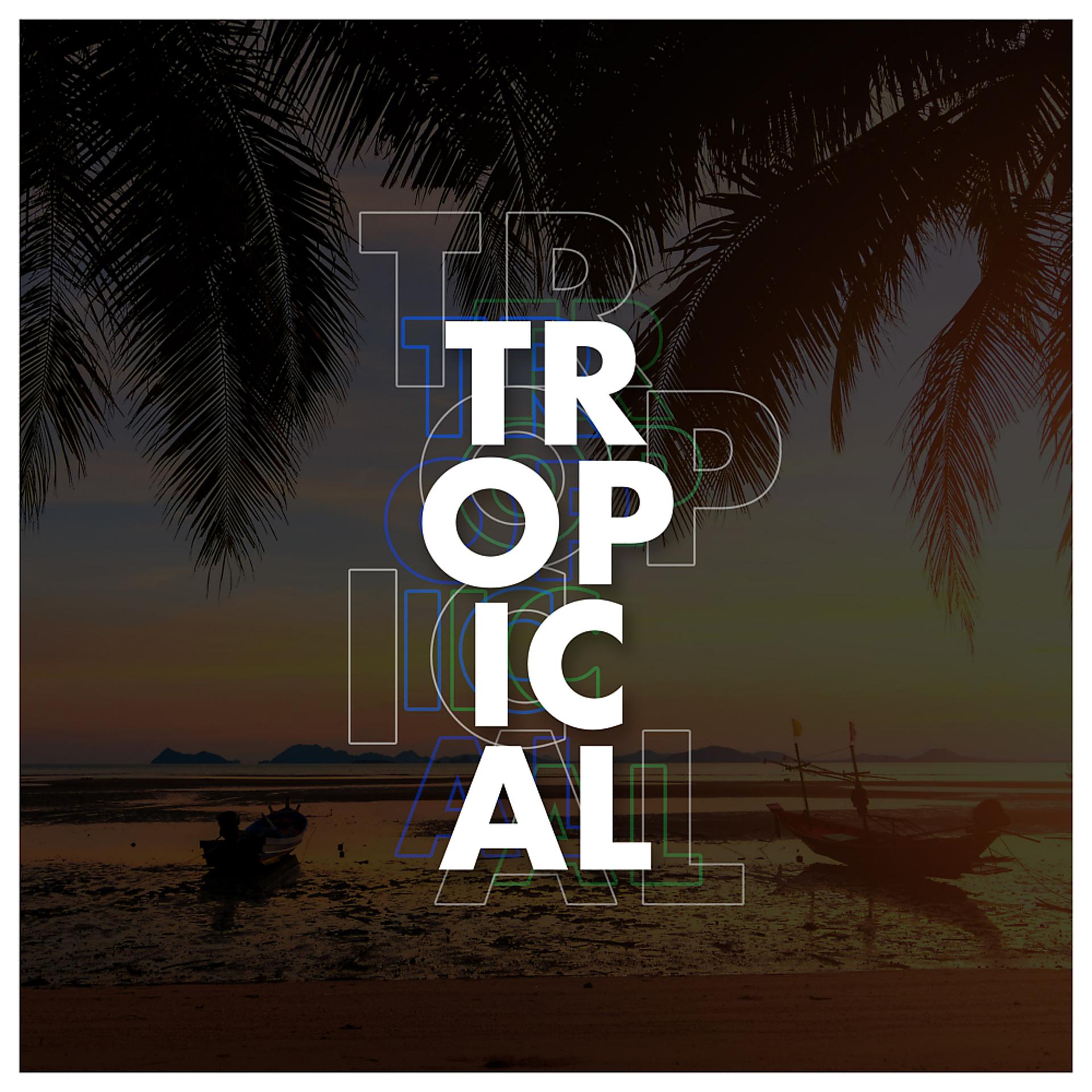 Постер альбома Tropical