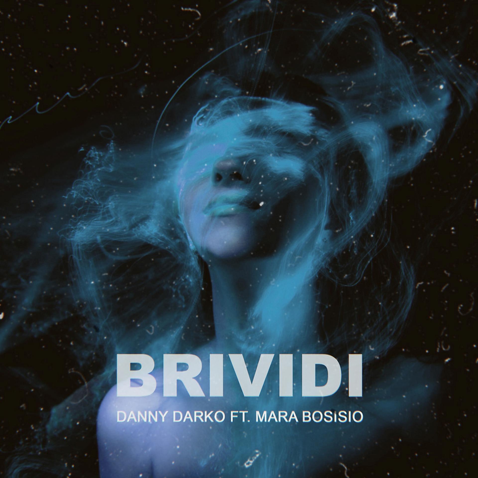 Постер альбома Brividi (NuDisco remix)