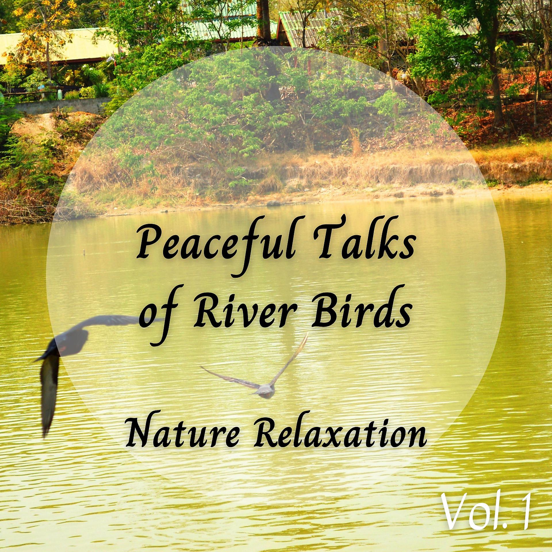 Постер альбома Nature Relaxation: Peaceful Talks of River Birds Vol. 1