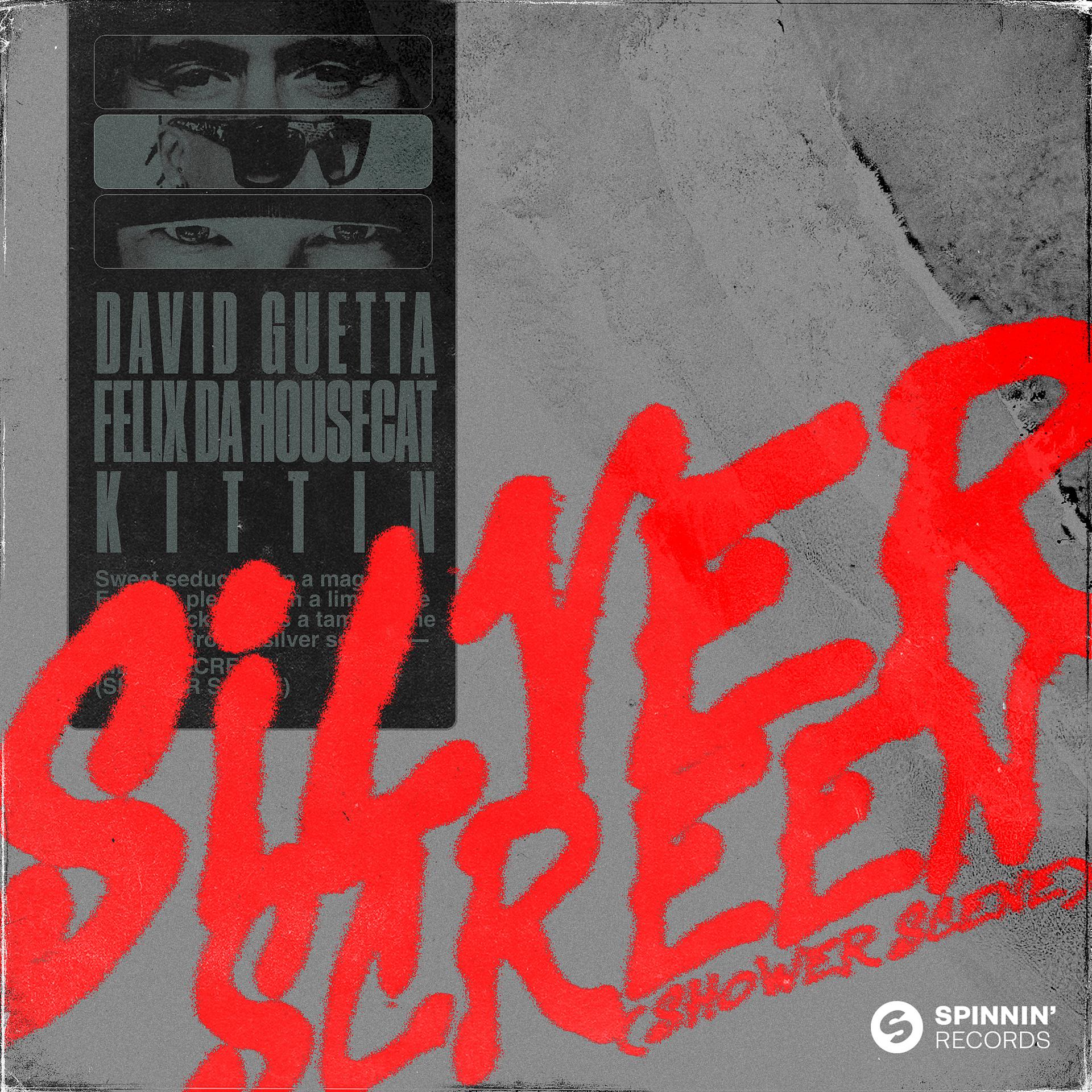 Постер к треку David Guetta, Felix da Housecat, Miss Kittin - Silver Screen (Shower Scene) [Club Mix]
