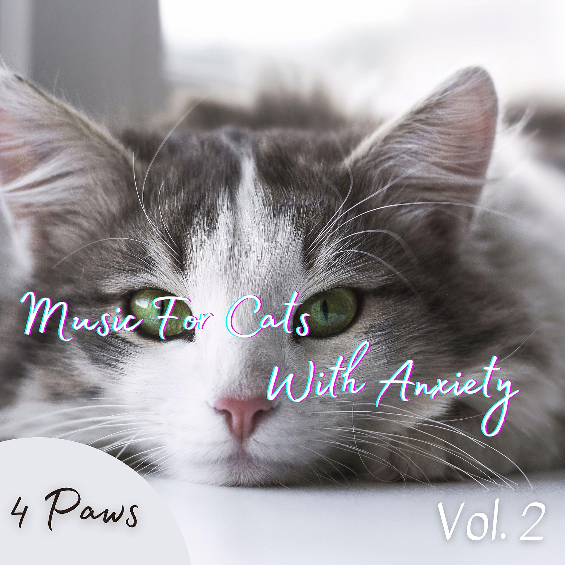 Постер альбома 4 Paws: Music For Cats With Anxiety Vol. 2