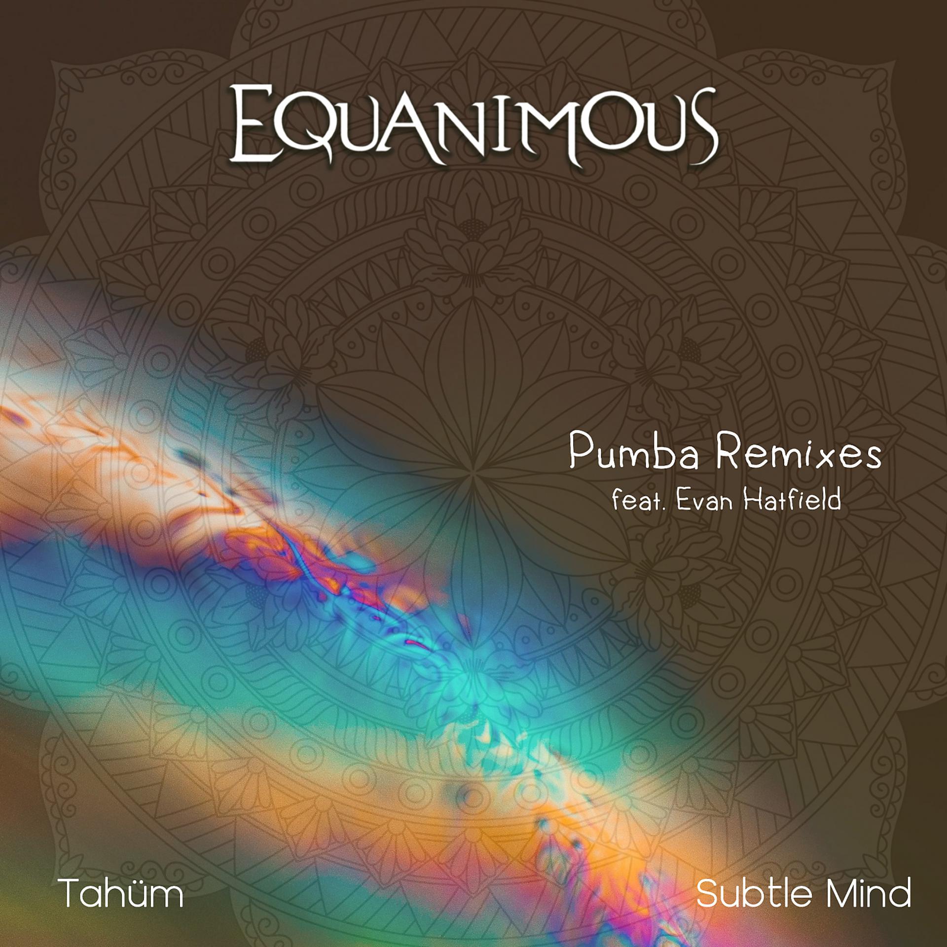 Постер альбома Pumba Remixes (feat. Evan Hatfield)
