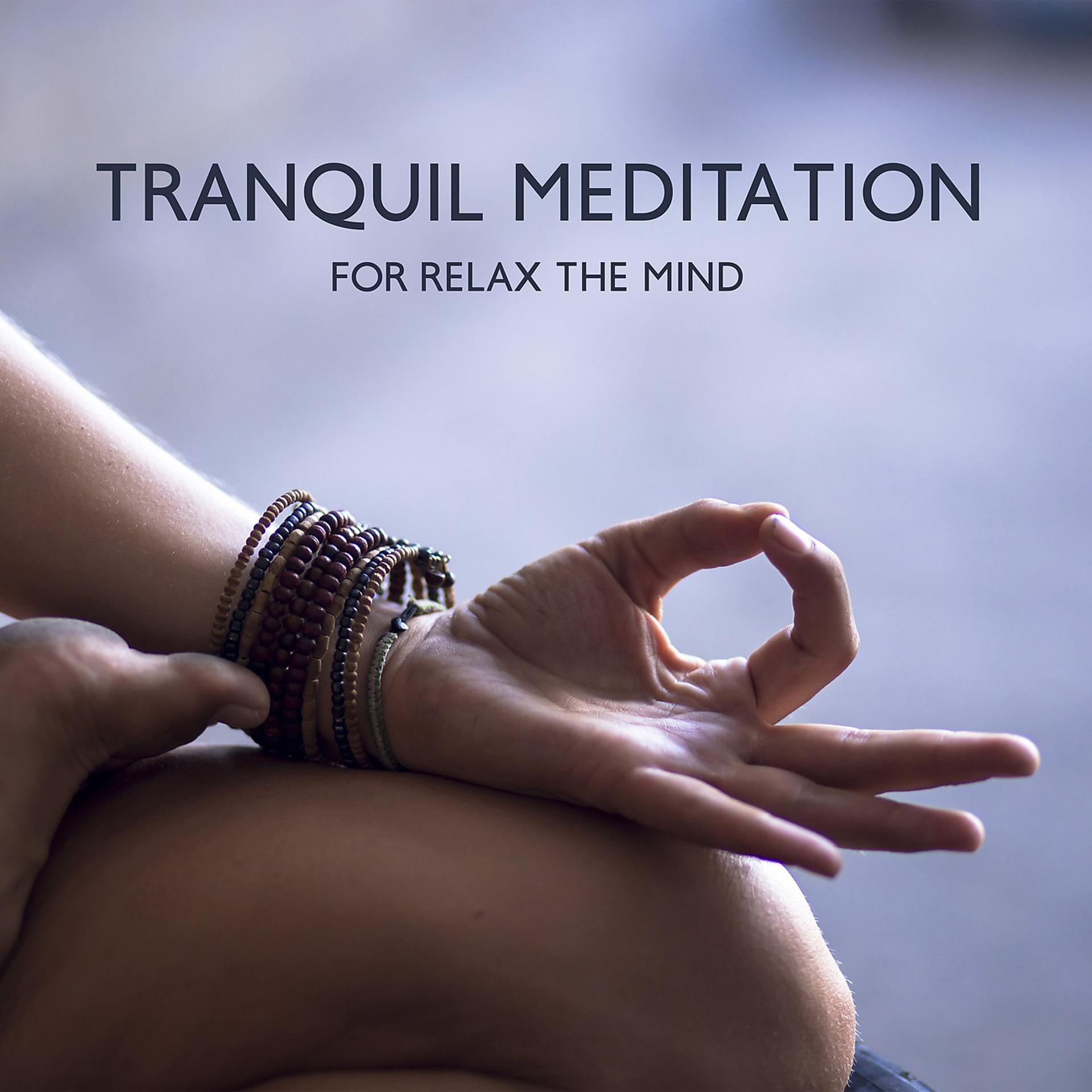 Постер альбома Tranquil Meditation for Relax the Mind