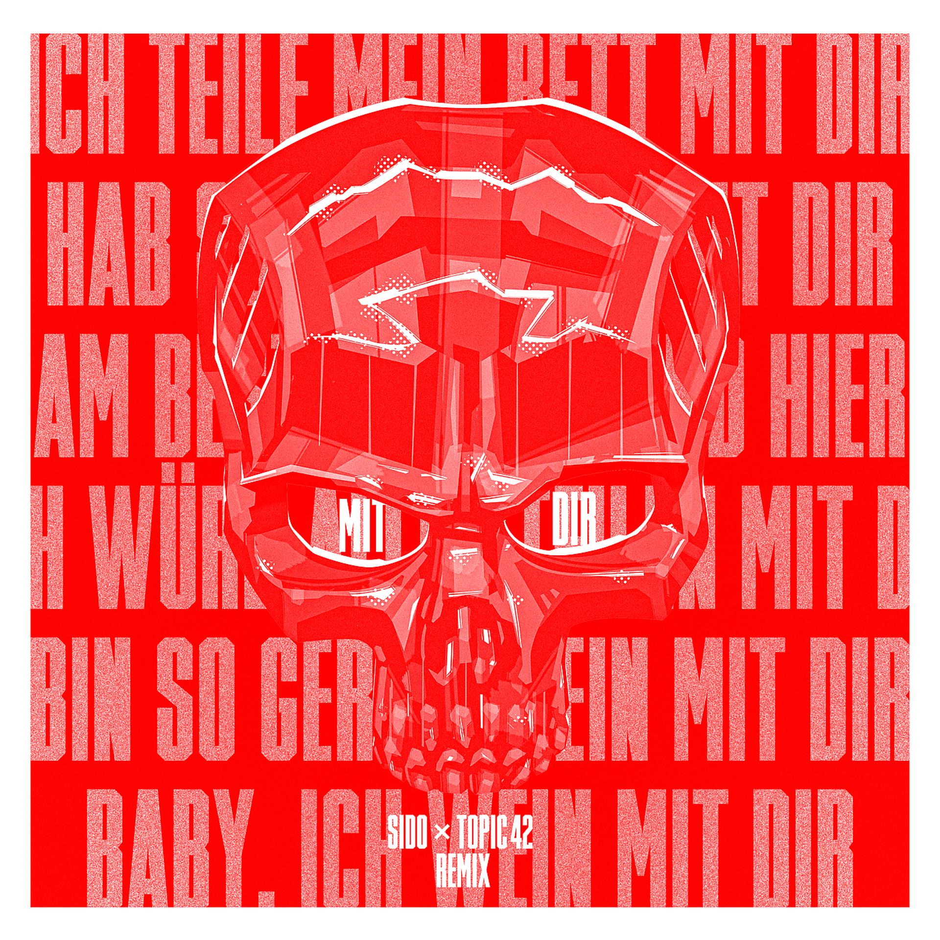 Постер альбома Mit Dir