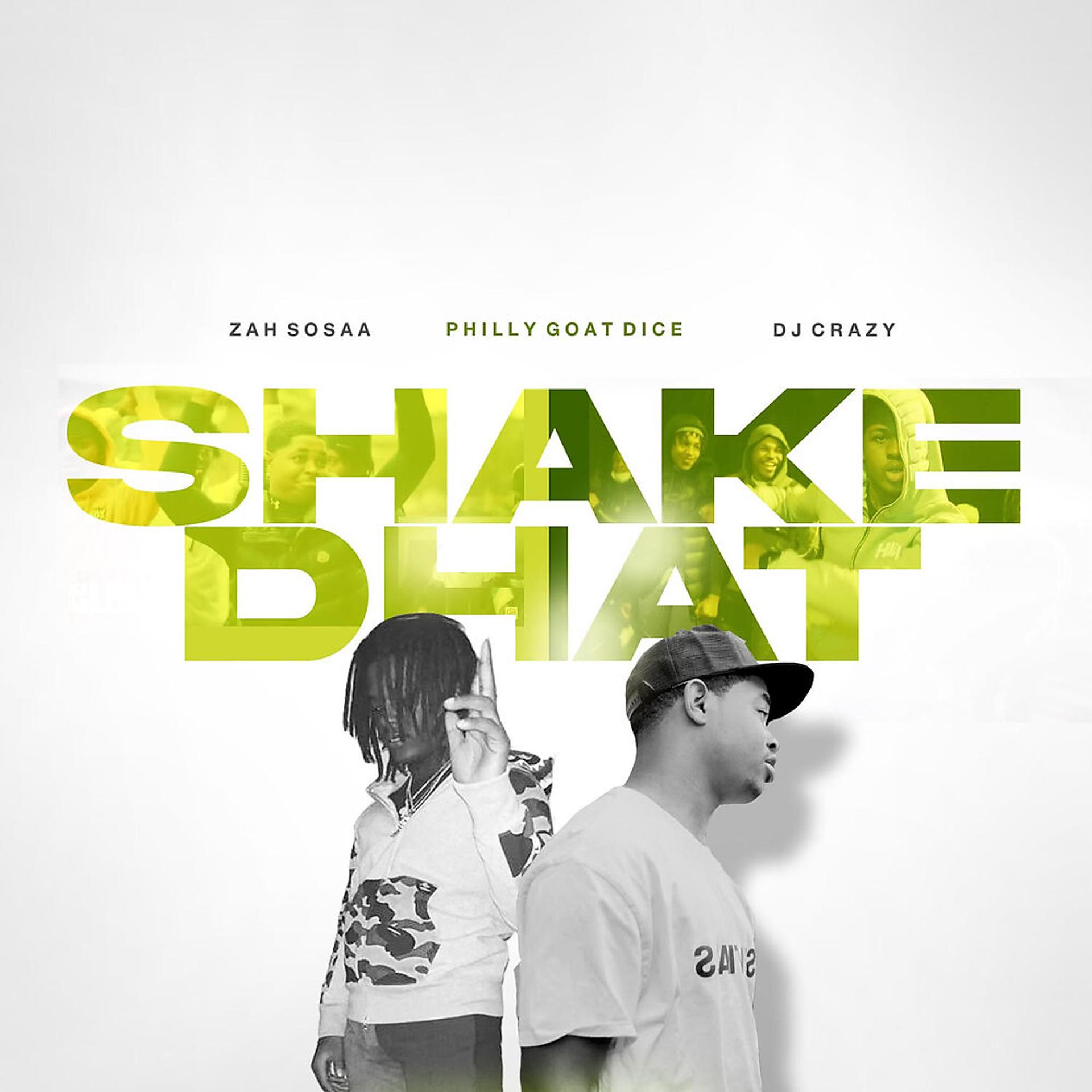 Постер альбома Shake Dhat
