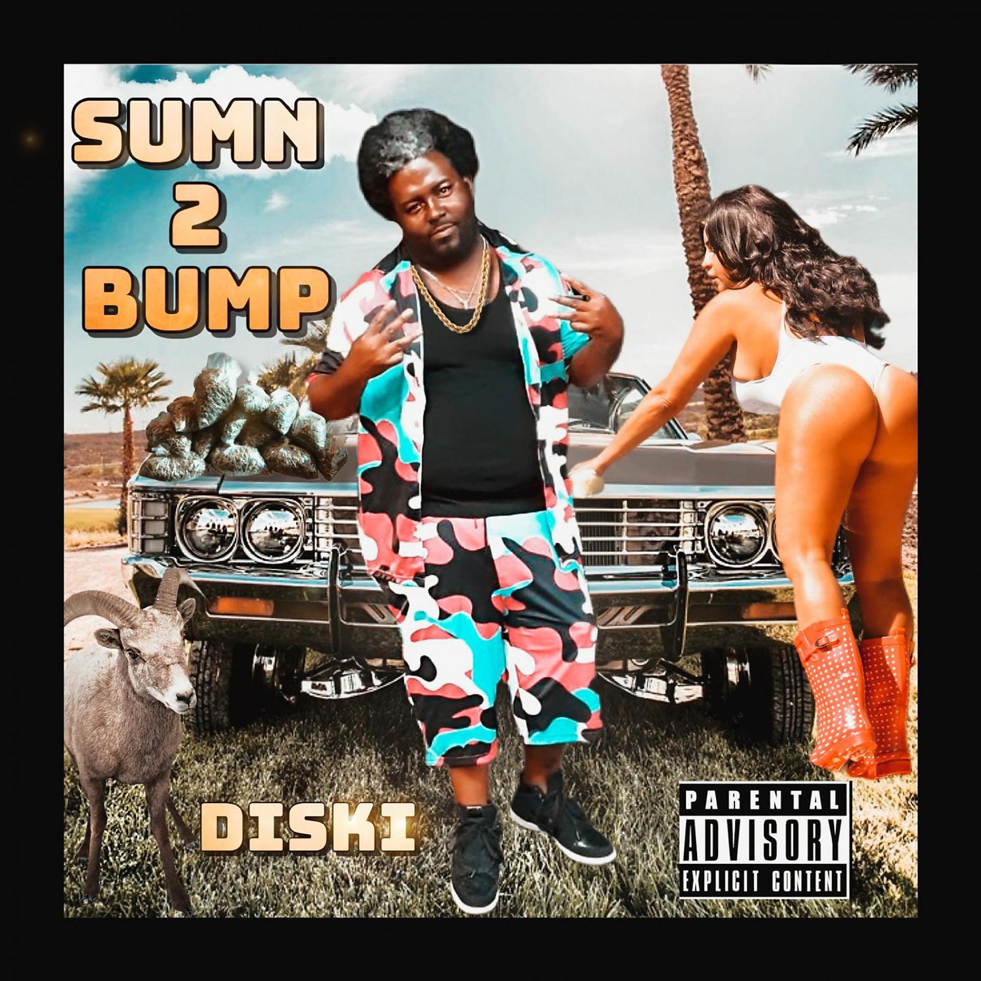 Постер альбома Sumn 2 Bump
