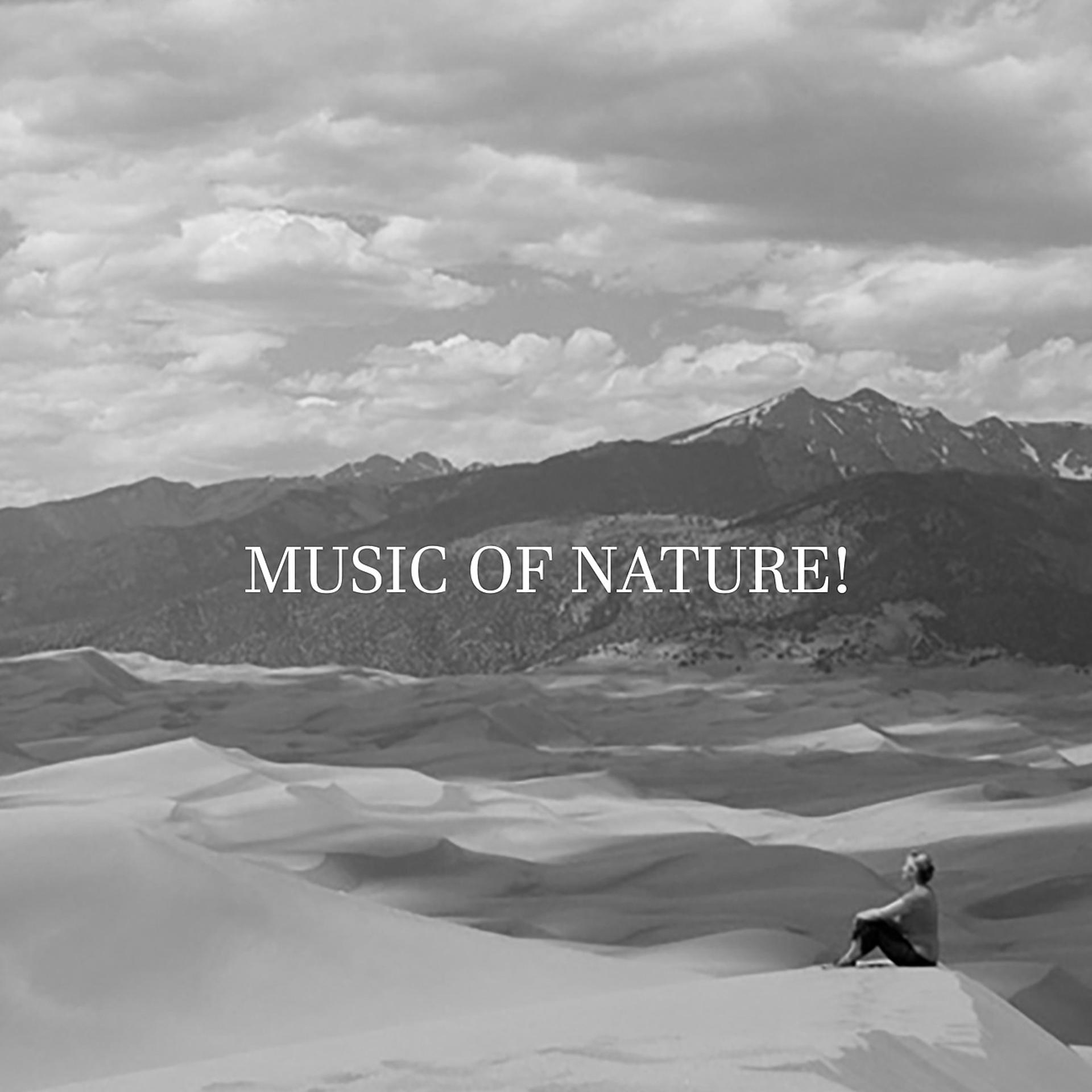Постер альбома Music of Nature! Soothing Background for Relaxation
