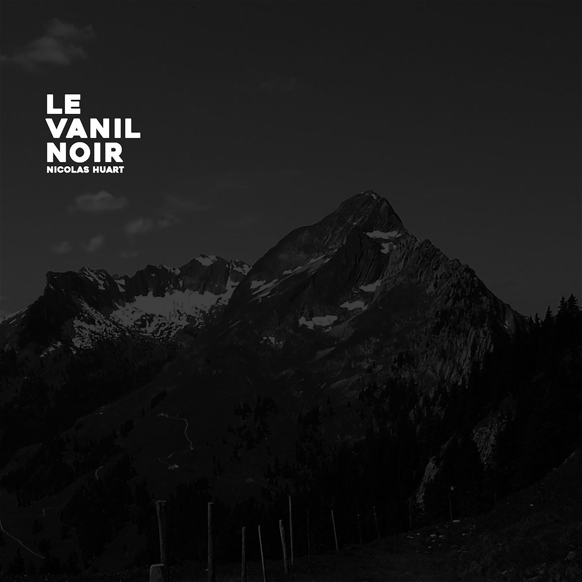 Постер альбома Le vanil noir