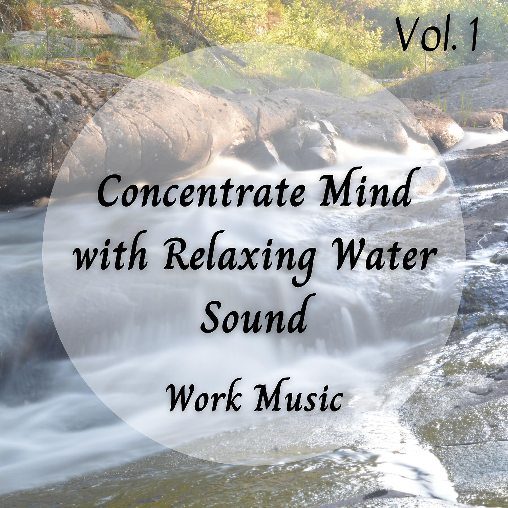 Постер альбома Work Music: Concentrate Mind with Relaxing Water Sound Vol. 1