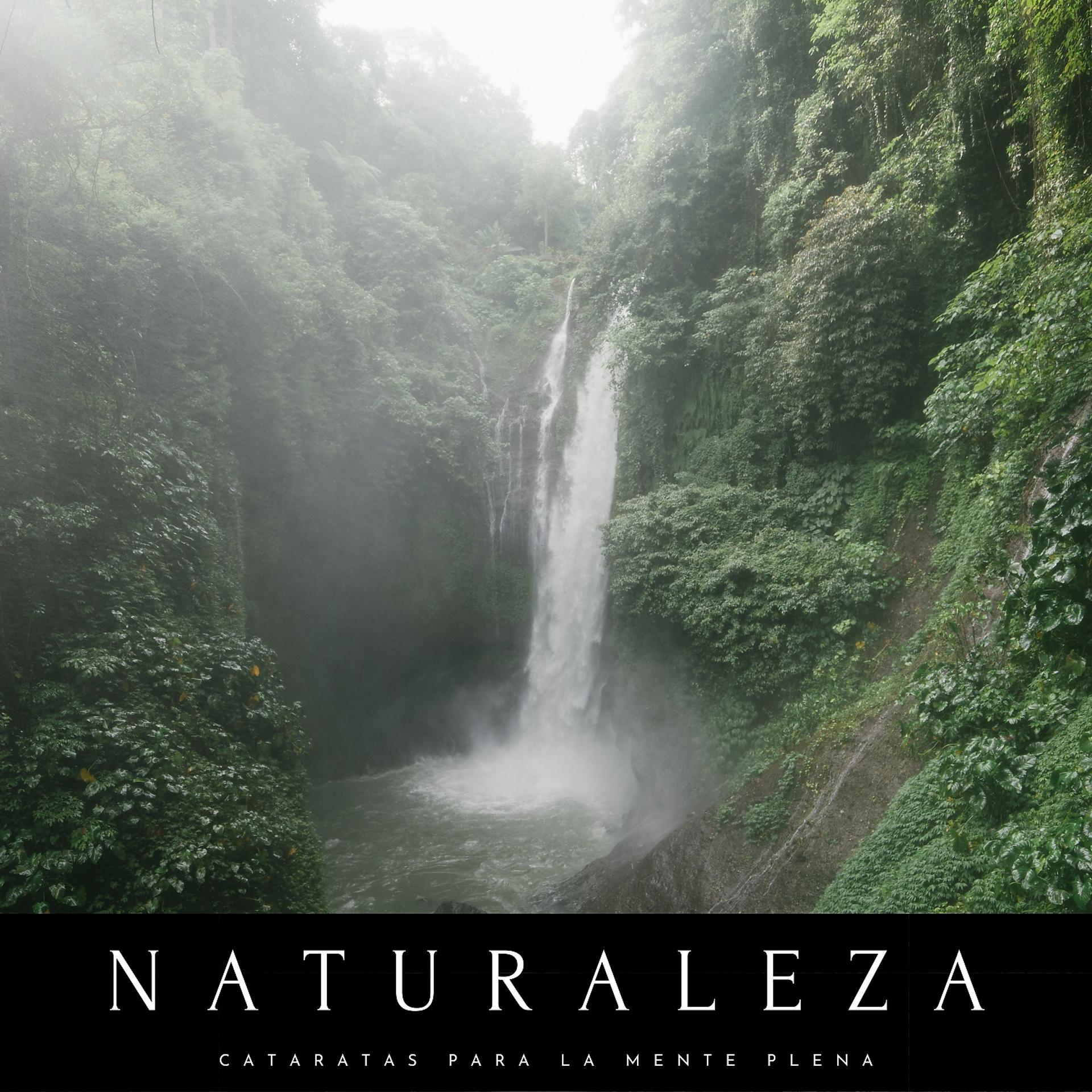 Постер альбома Naturaleza: Cataratas Para La Mente Plena