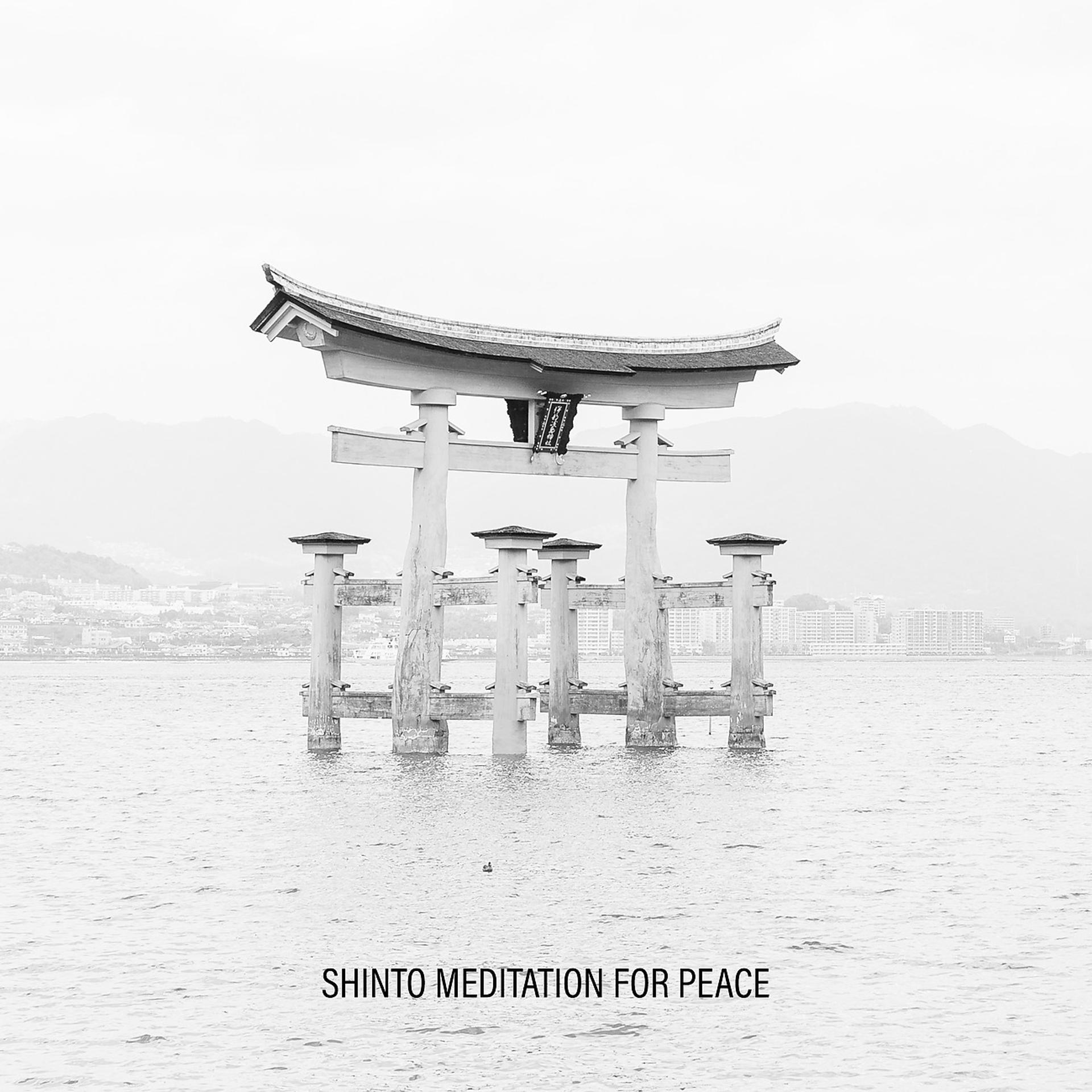 Постер альбома Shinto Meditation for Peace
