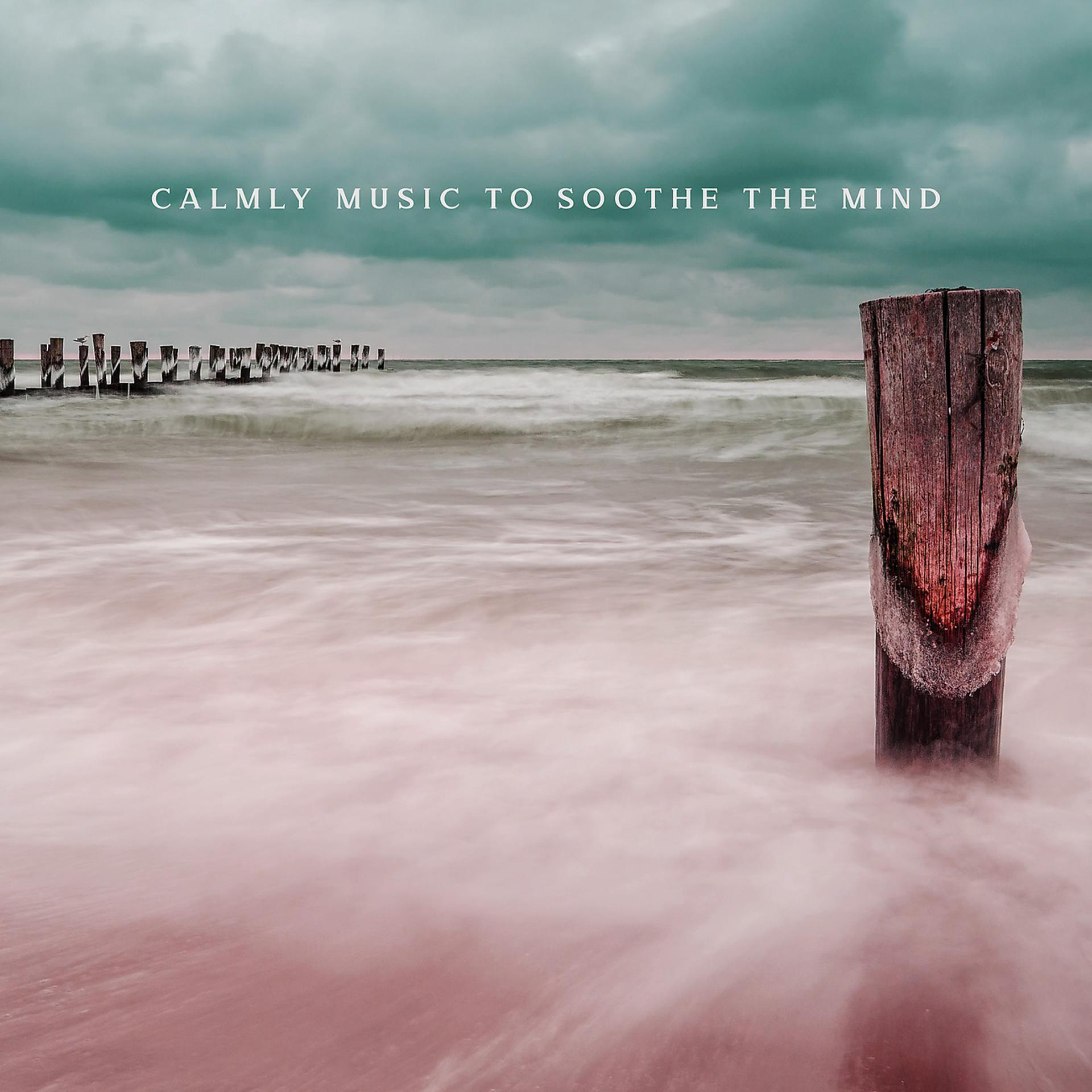 Постер альбома Calmly Music to Soothe the Mind