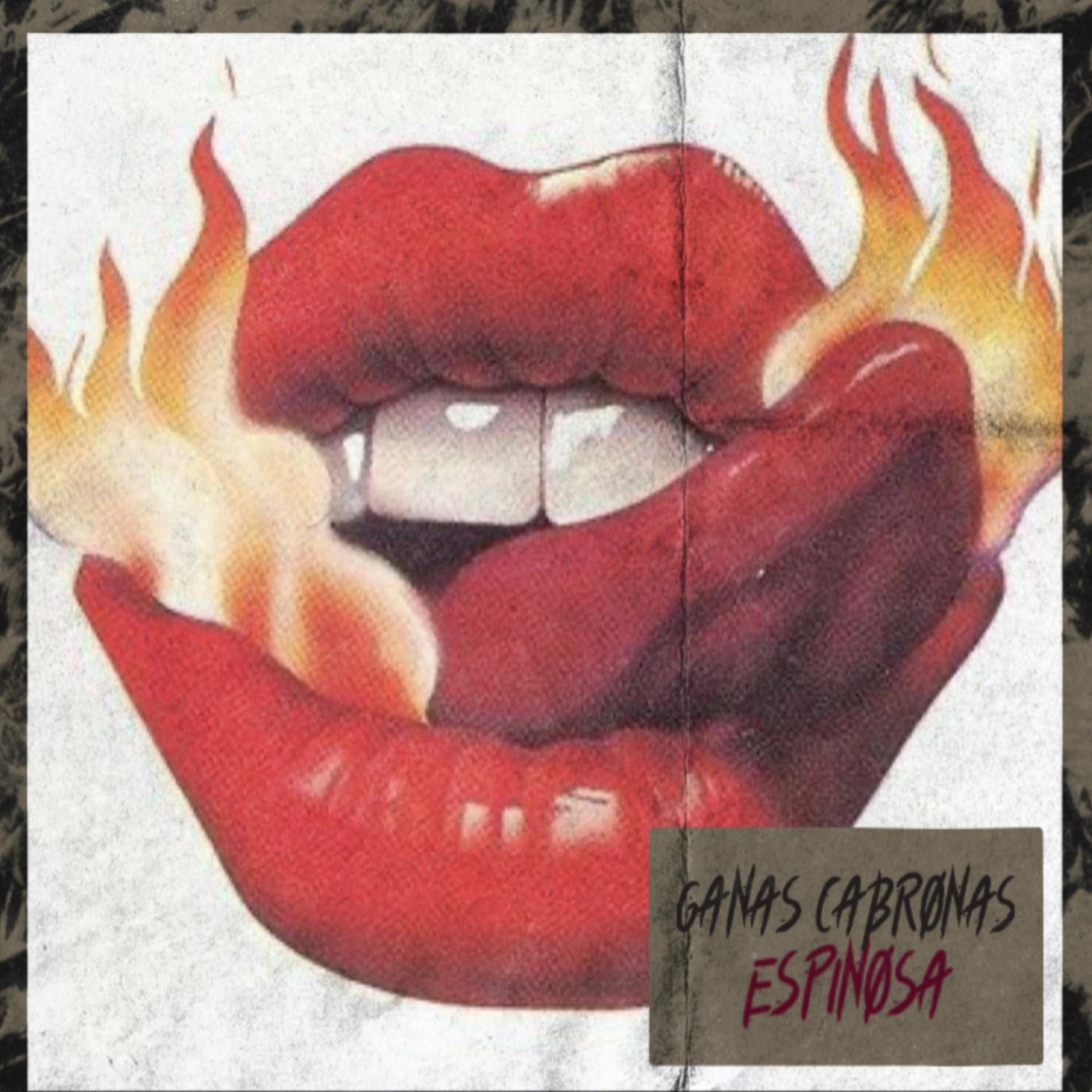 Постер альбома Ganas Cabronas