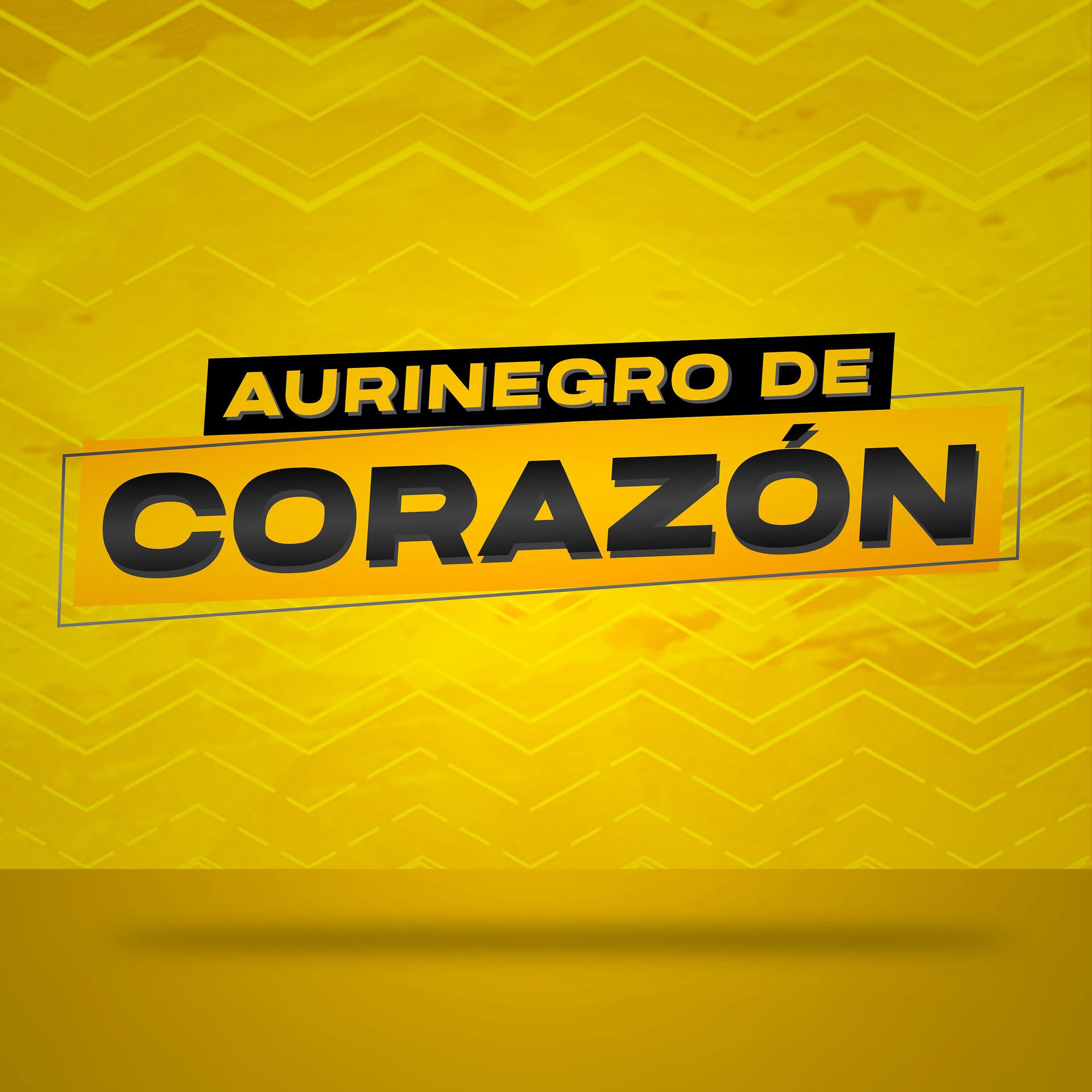 Постер альбома Aurinegro De Corazón
