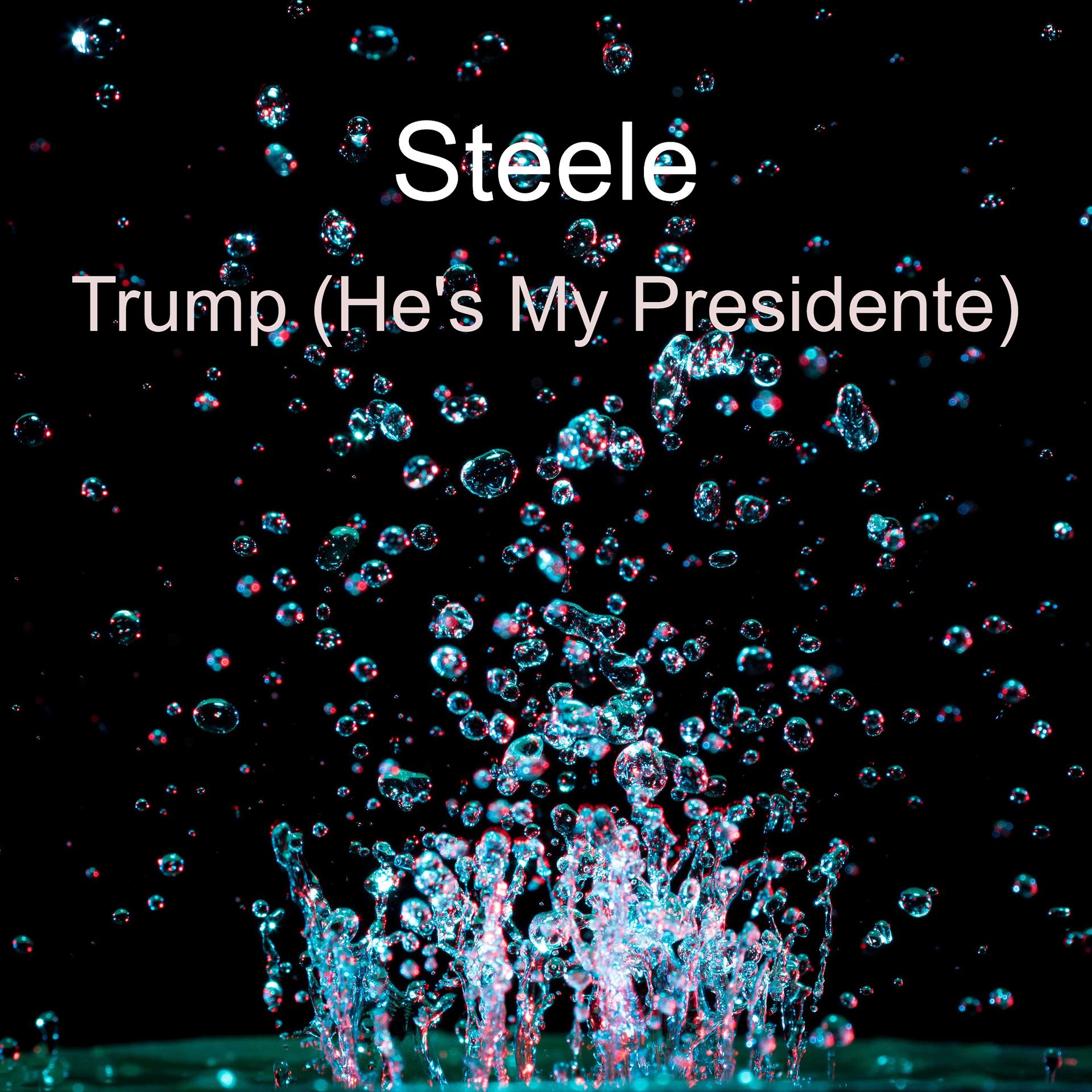 Постер альбома Trump (He's My Presidente)