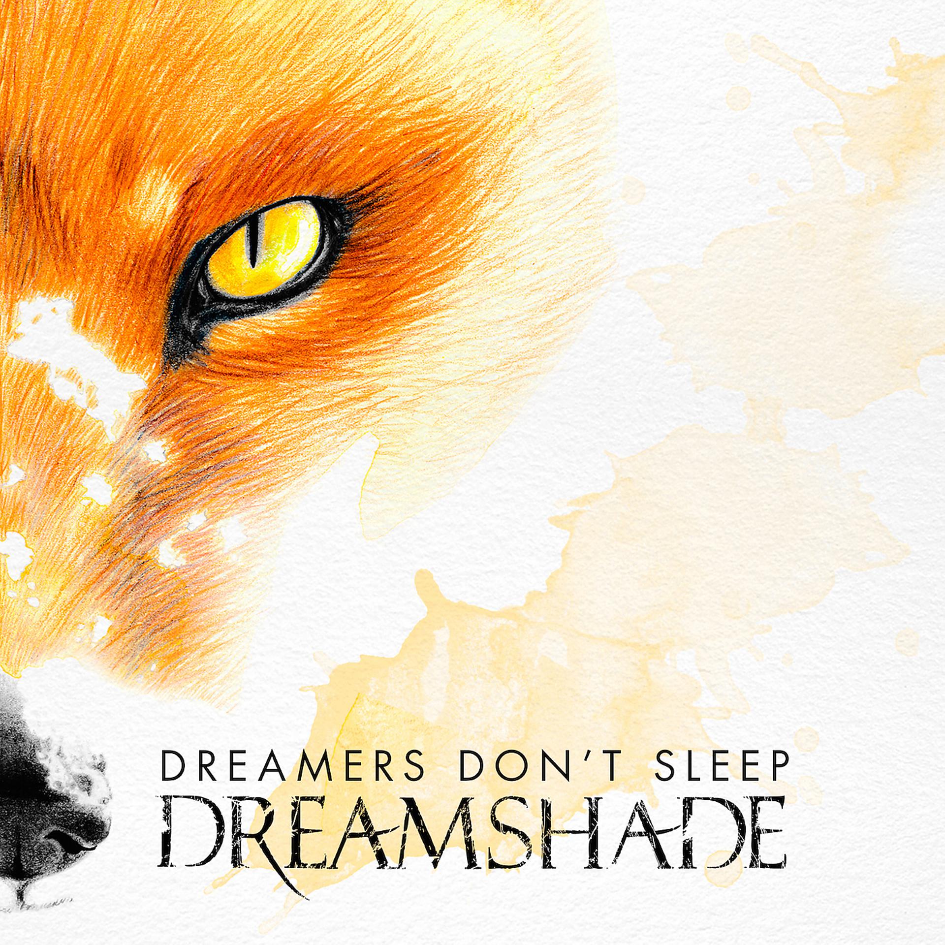 Постер альбома Dreamers Don't Sleep