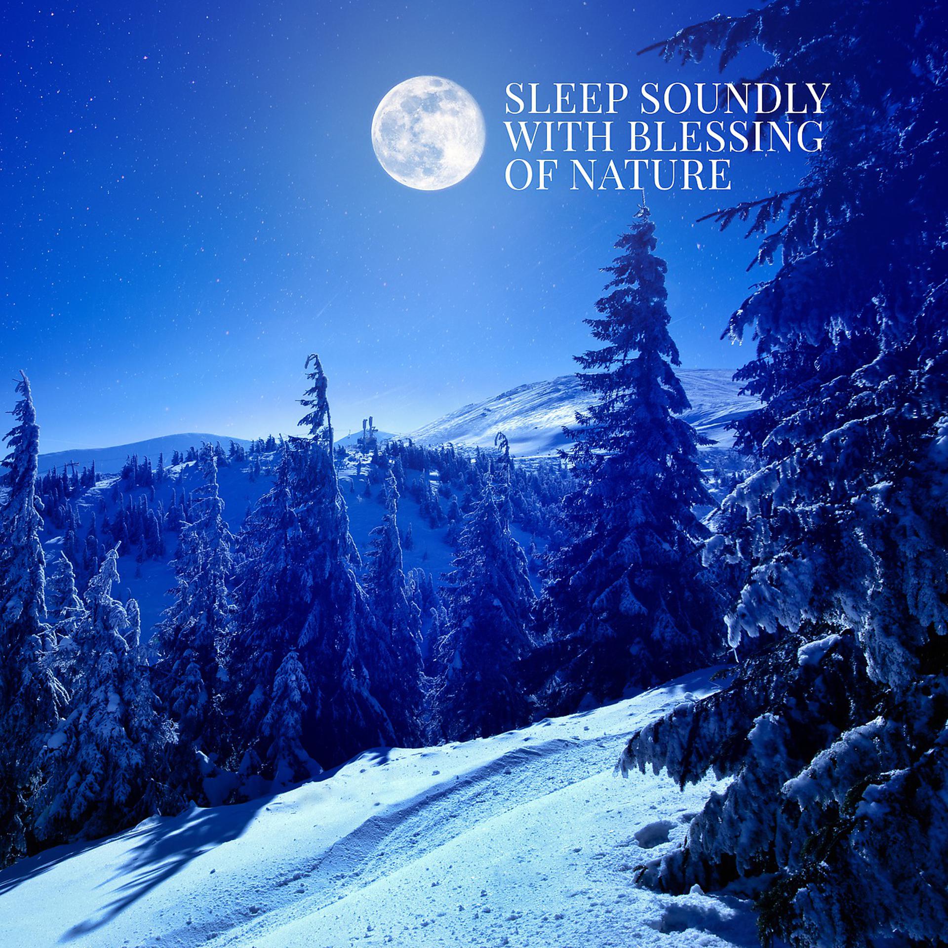 Постер альбома Sleep Soundly with Blessing of Nature