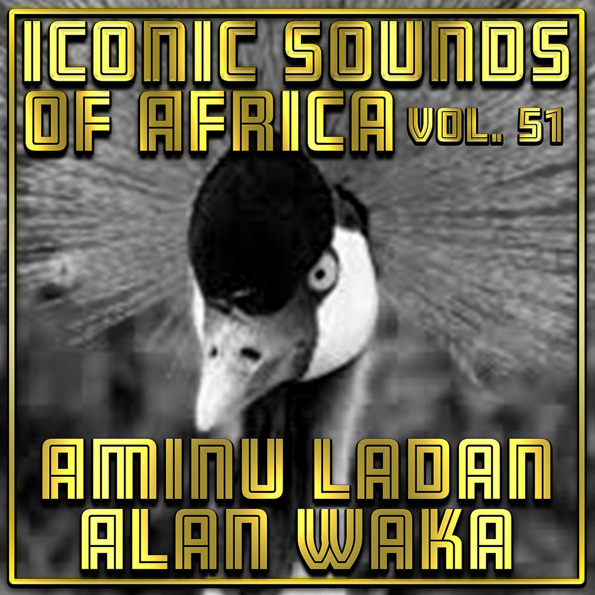 Постер альбома Iconic Sounds of Africa Vol, 51