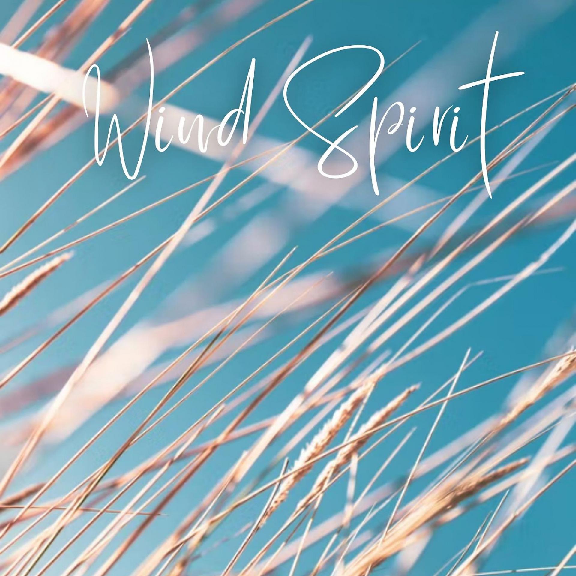 Постер альбома Wind Spirit