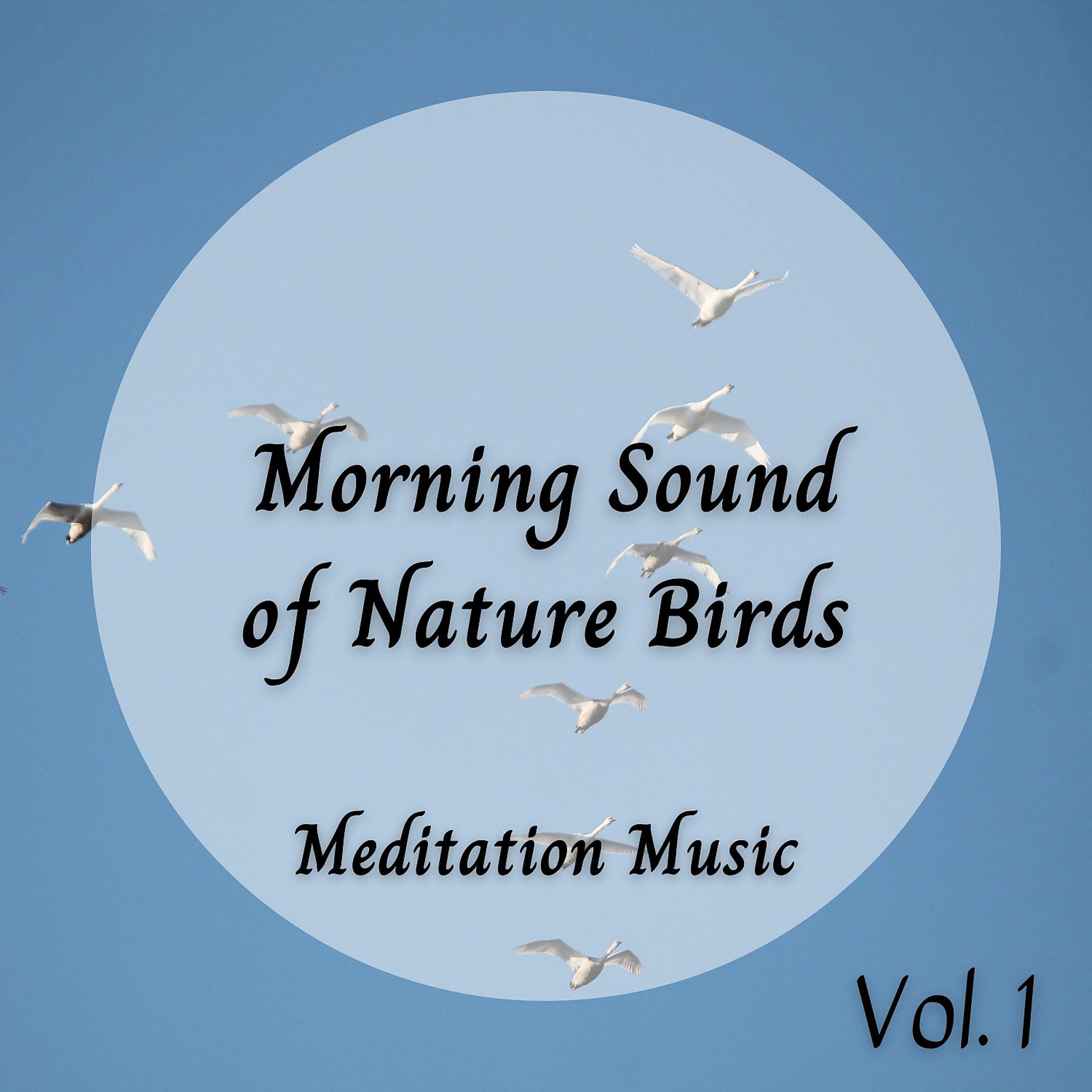 Постер альбома Meditation Music: Morning Sound of Nature Birds Vol. 1