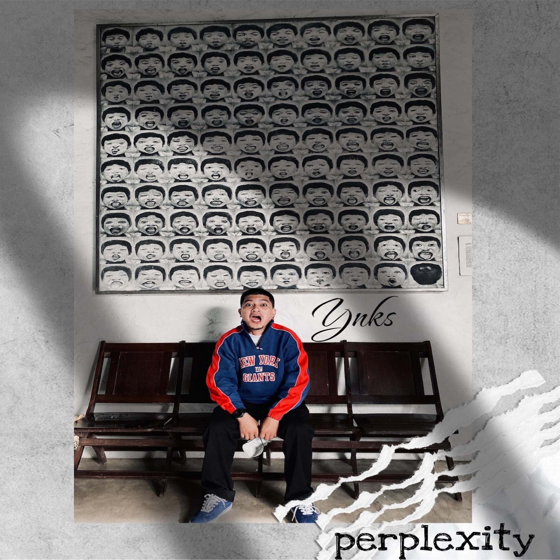 Постер альбома Perplexity