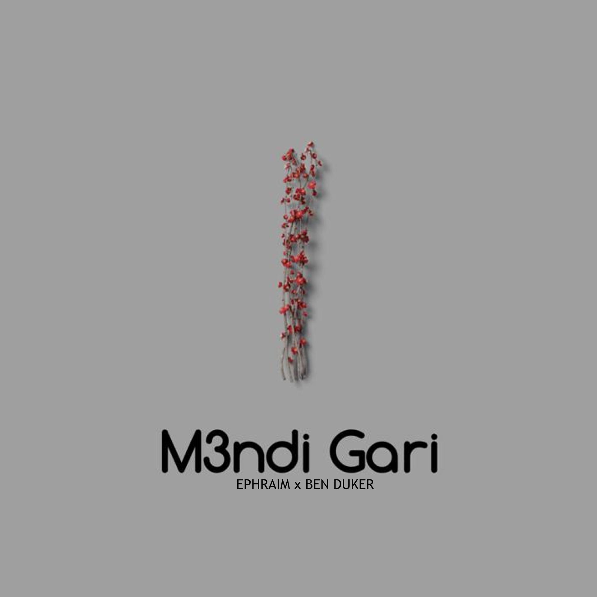 Постер альбома M3ndi Gari