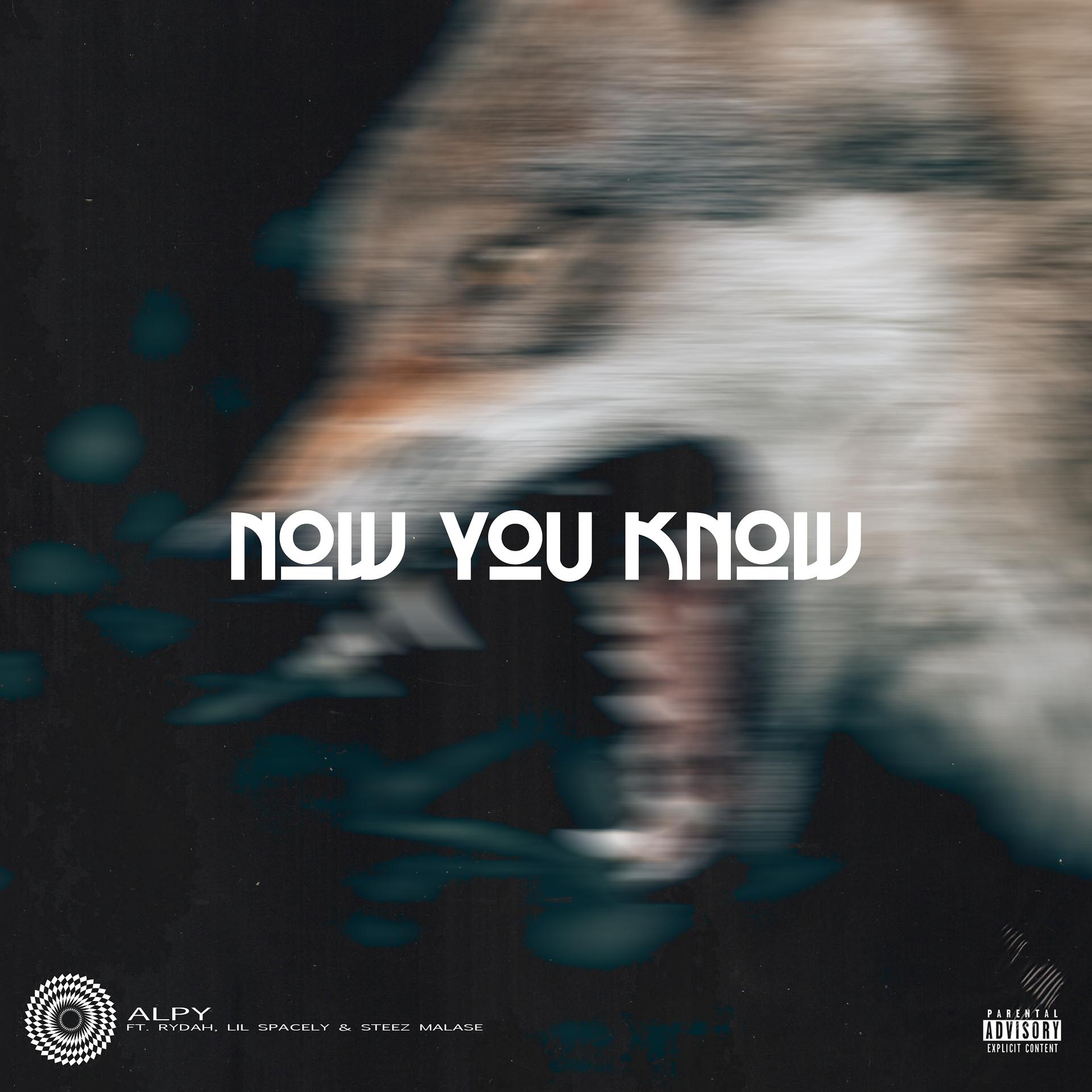 Постер альбома Now You Know (feat. Rydah, Lil Spacely & Steez Malase)