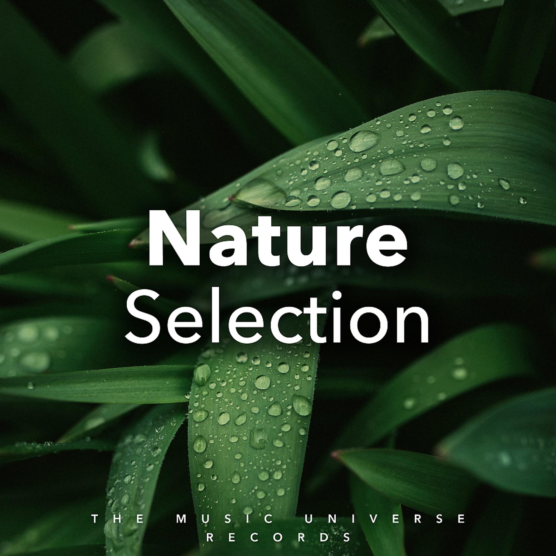 Постер альбома Nature Selection