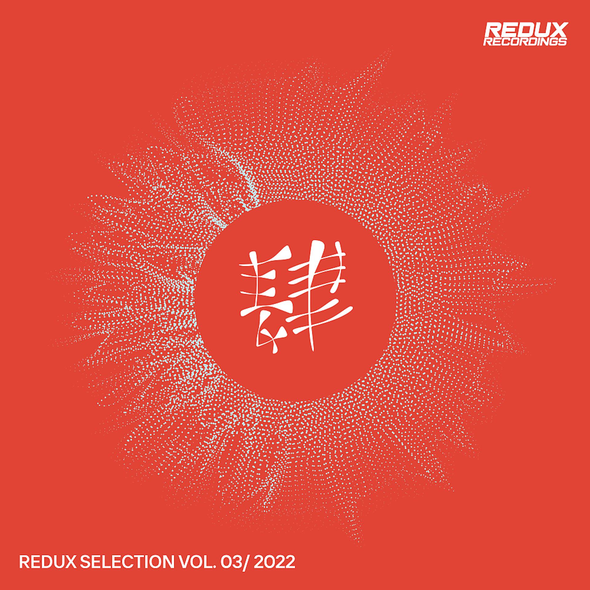Постер альбома Redux Selection Vol. 3 / 2022