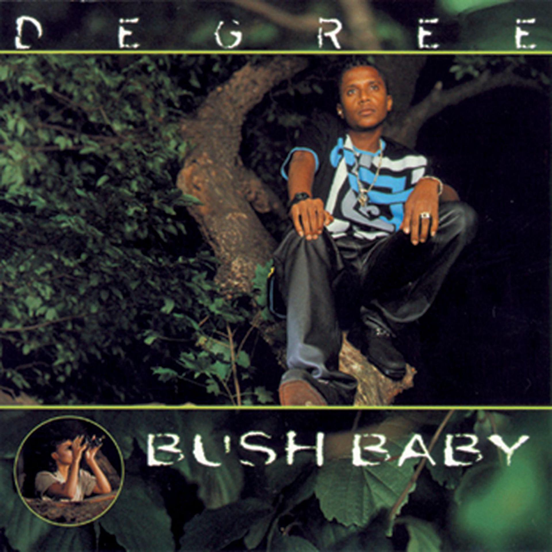 Постер альбома Bush Baby
