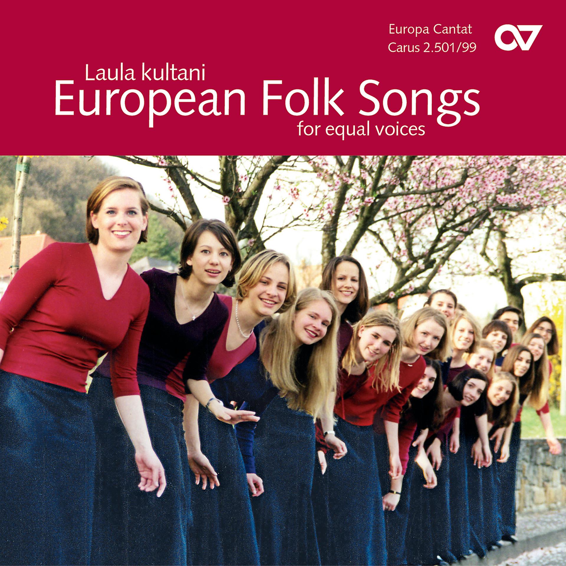 Постер альбома Chorbuch European Folksongs