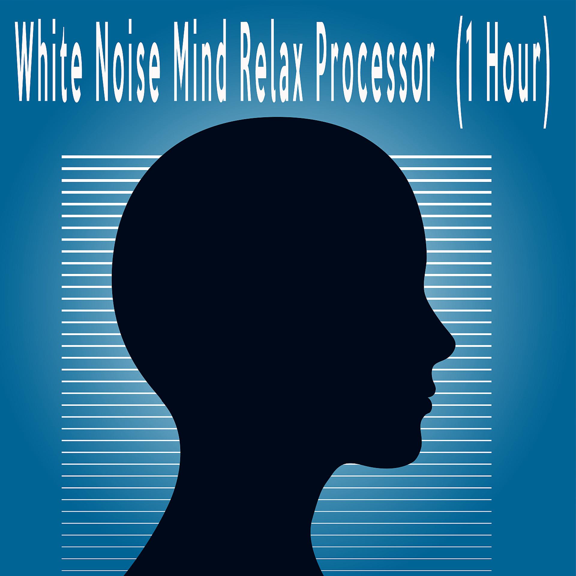 Постер альбома White Noise Mind Relax Processor (1 Hour)