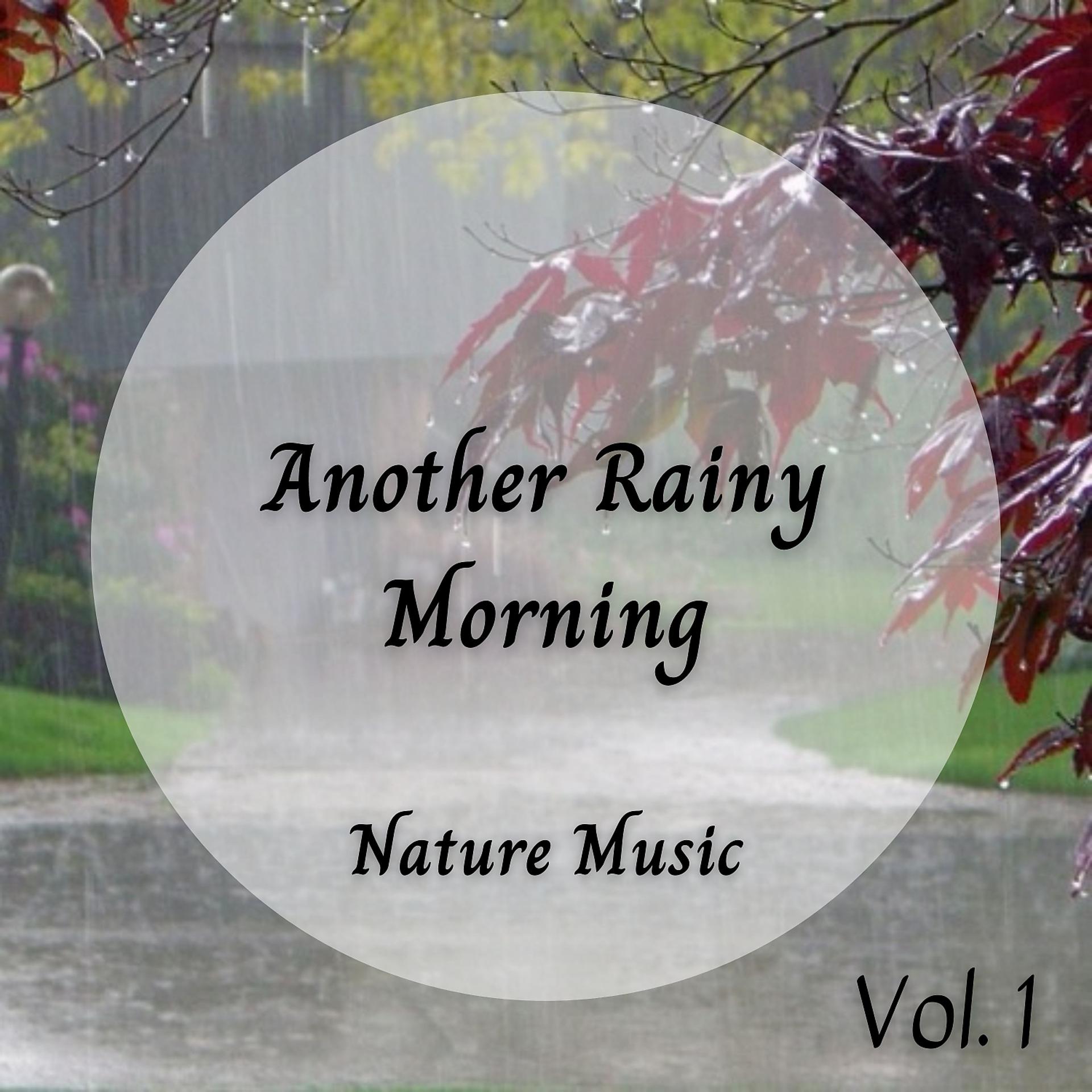 Постер альбома Nature Sound: Another Rainy Morning Vol. 1