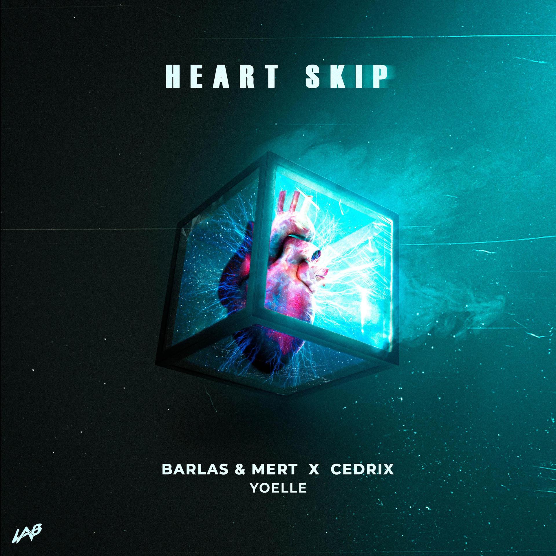 Постер альбома Heart Skip