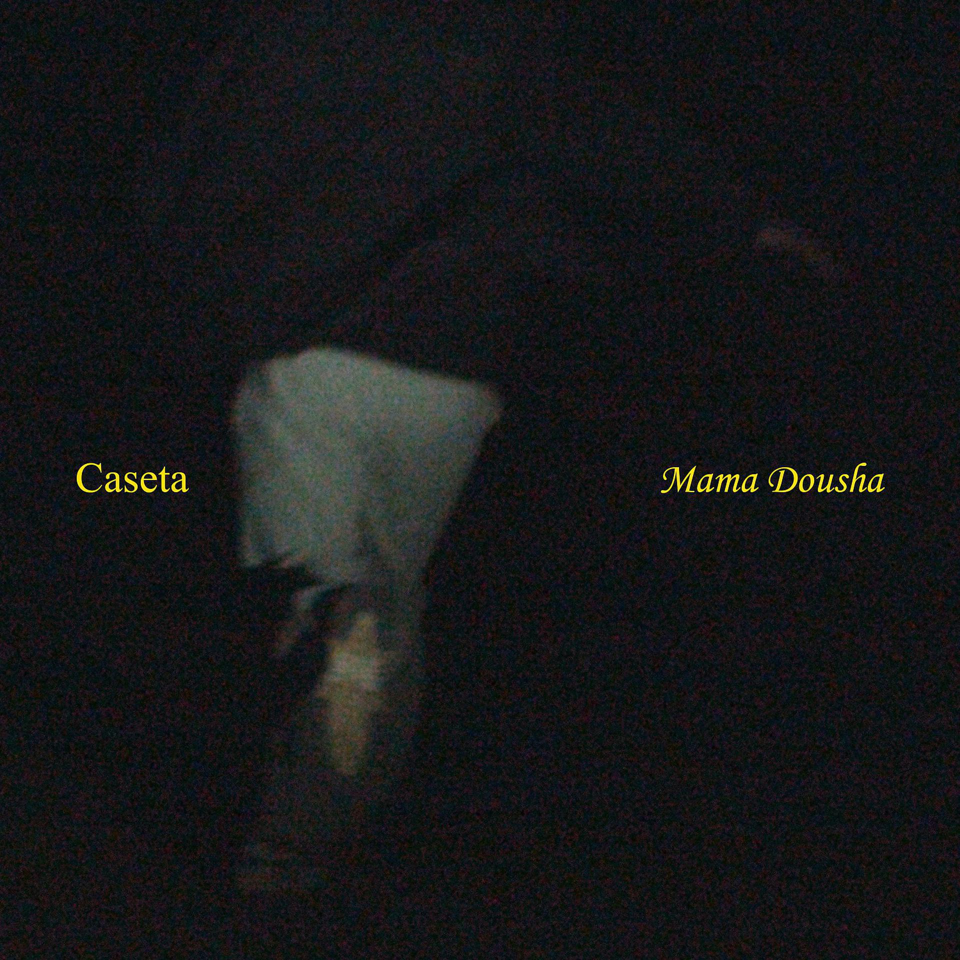 Постер альбома Caseta