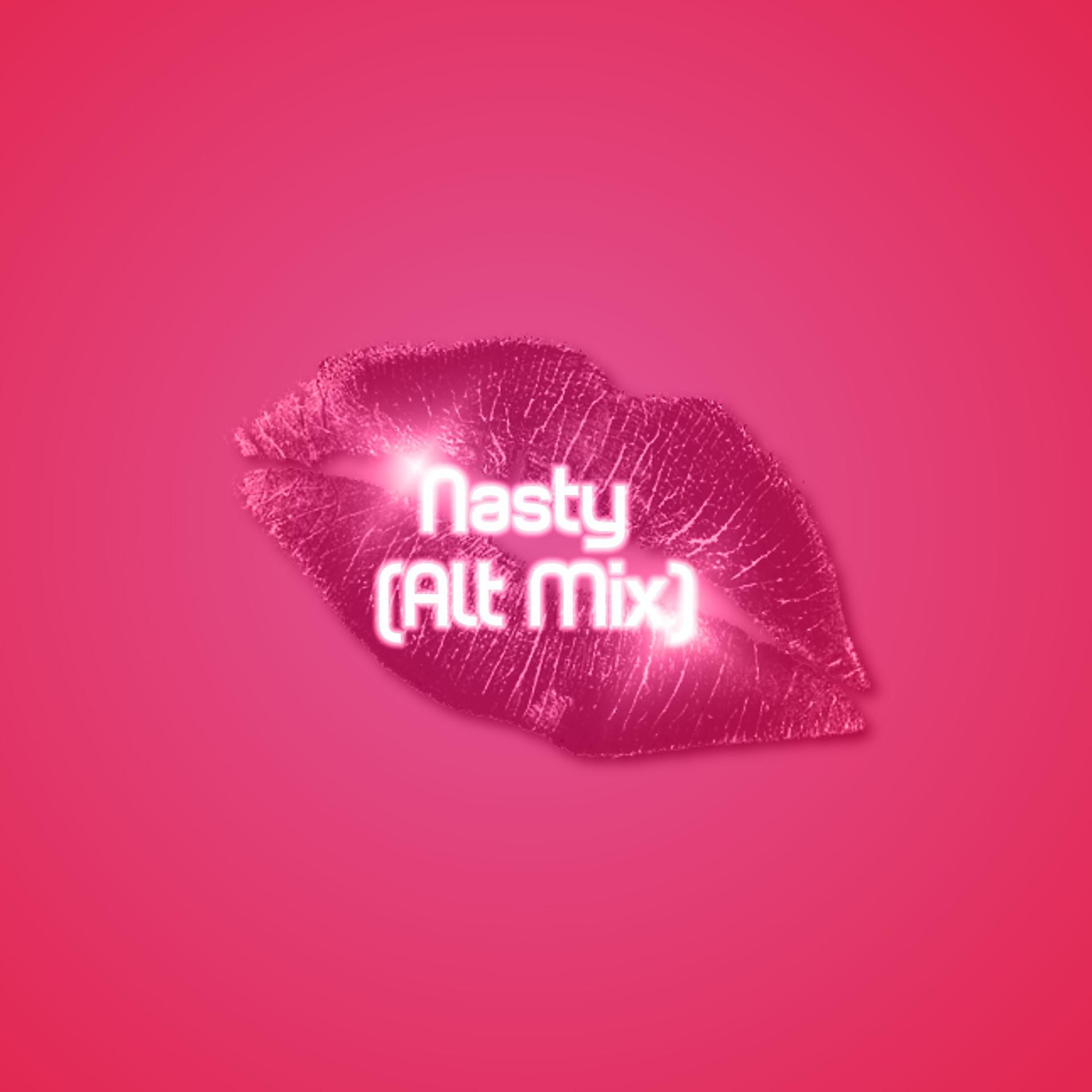 Постер альбома Nasty (Alt Mix)