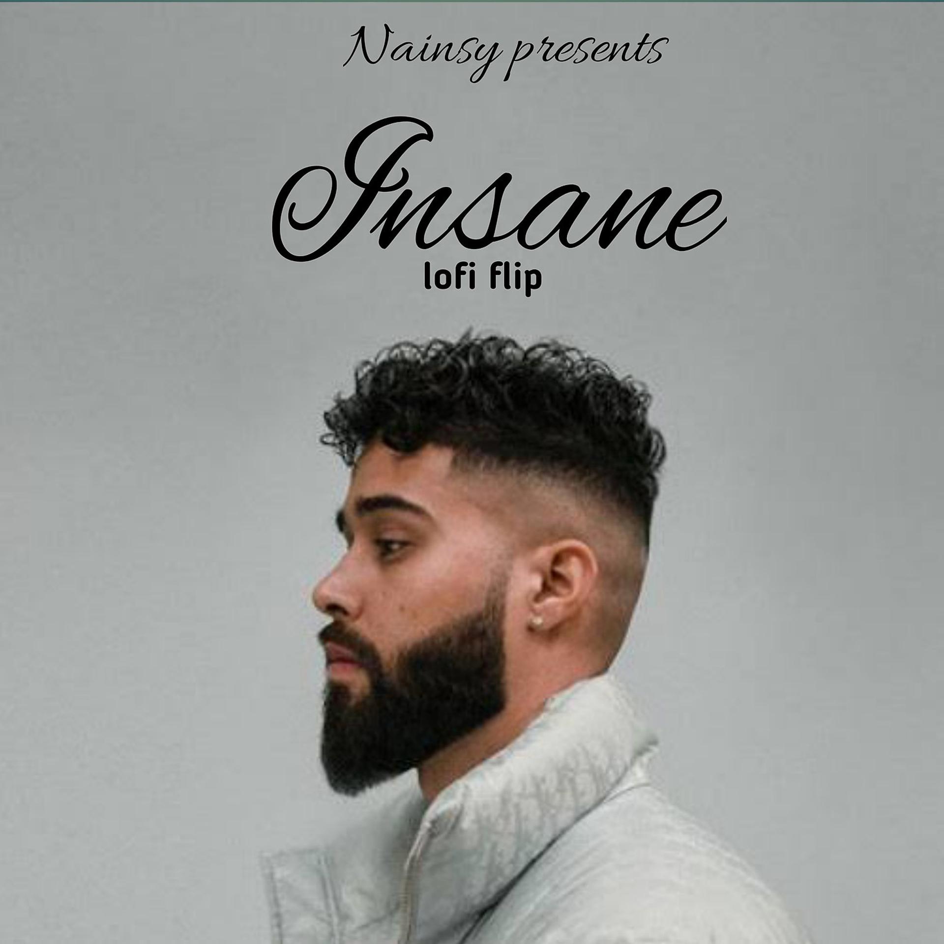 Постер альбома Insane | lofi flip
