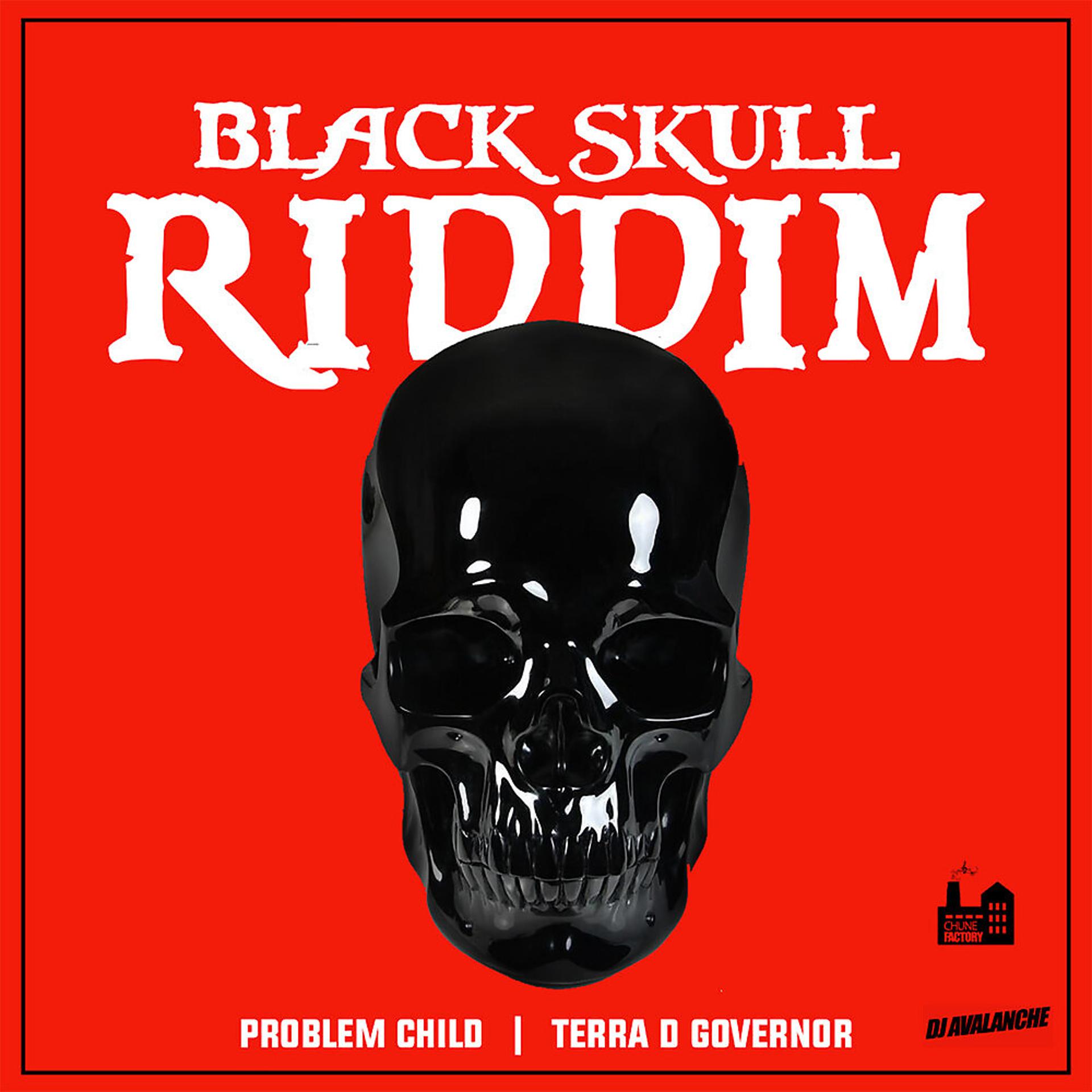 Постер альбома Black Skull Riddim