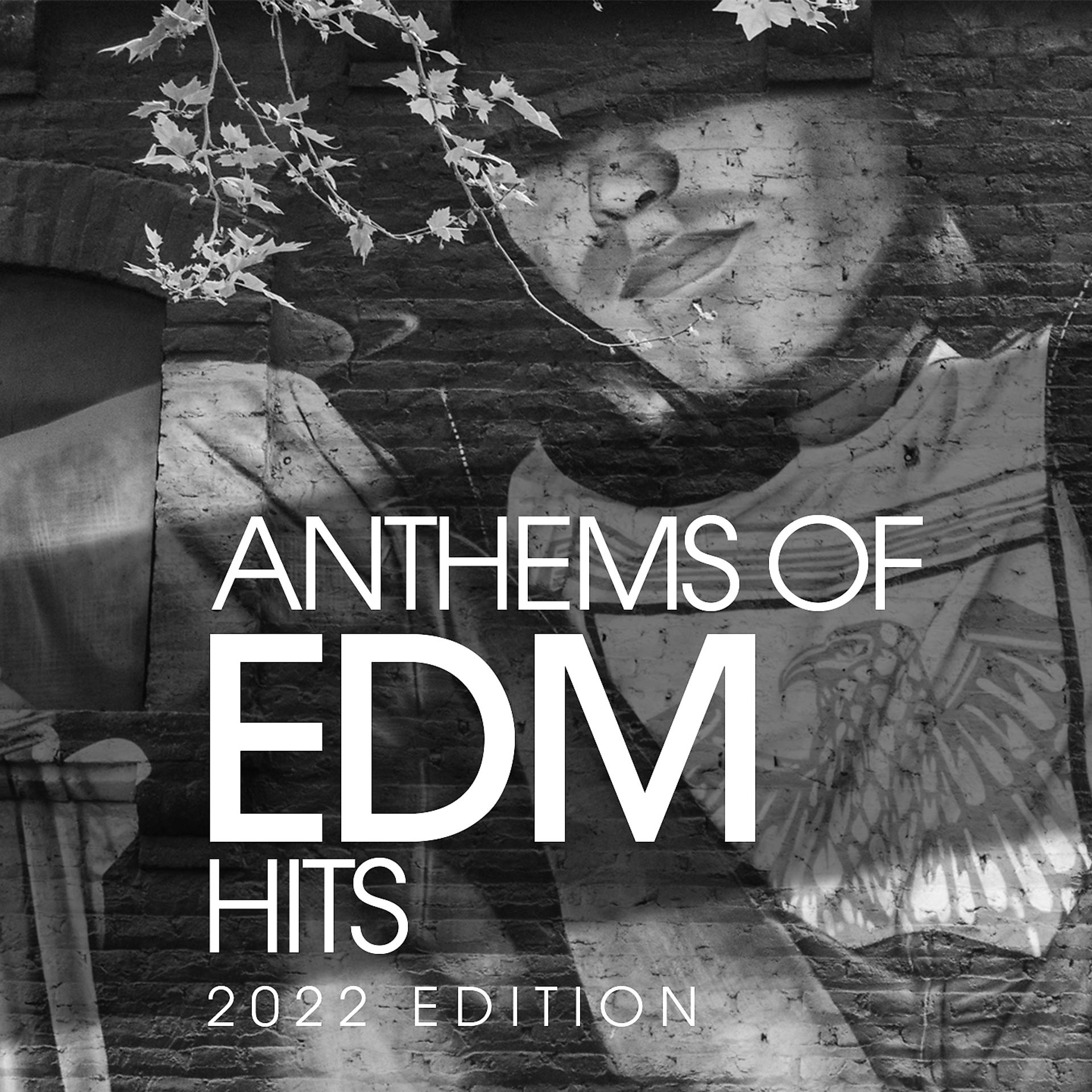 Постер альбома Anthems Of Edm Hits 2022 Edition