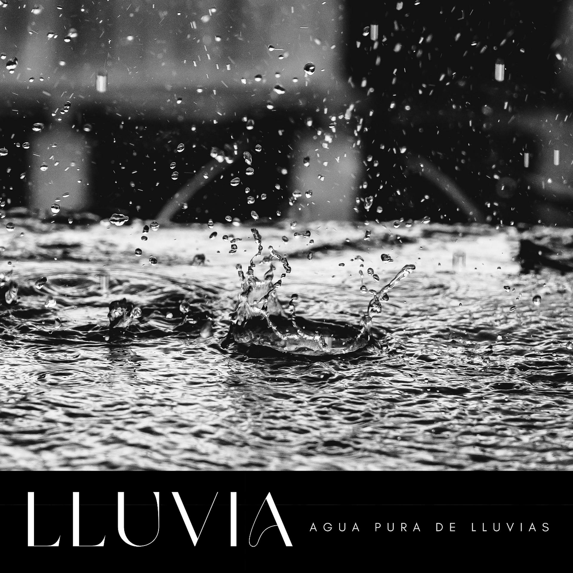 Постер альбома Lluvia: Agua Pura De Lluvias