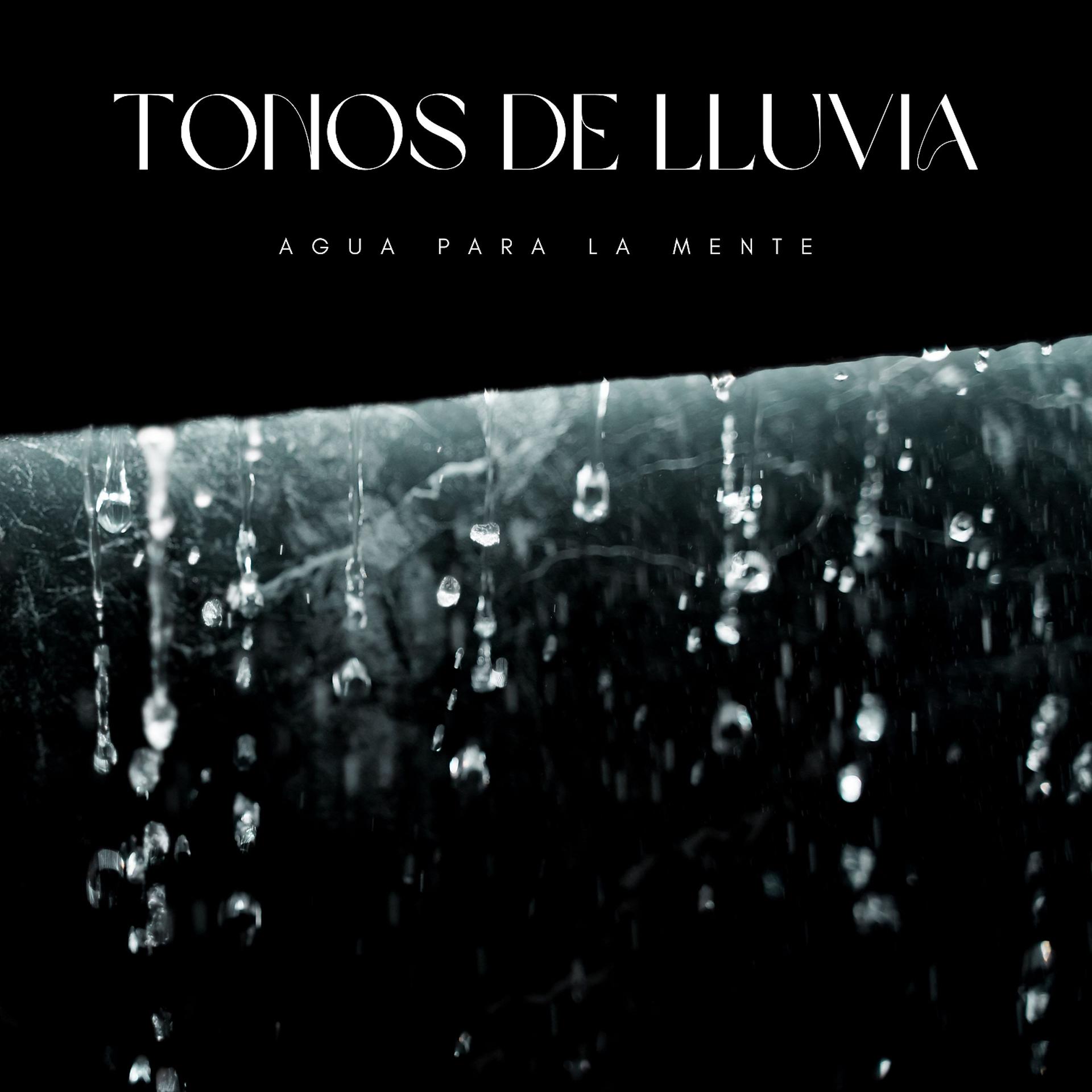 Постер альбома Tonos De Lluvia: Agua Para La Mente