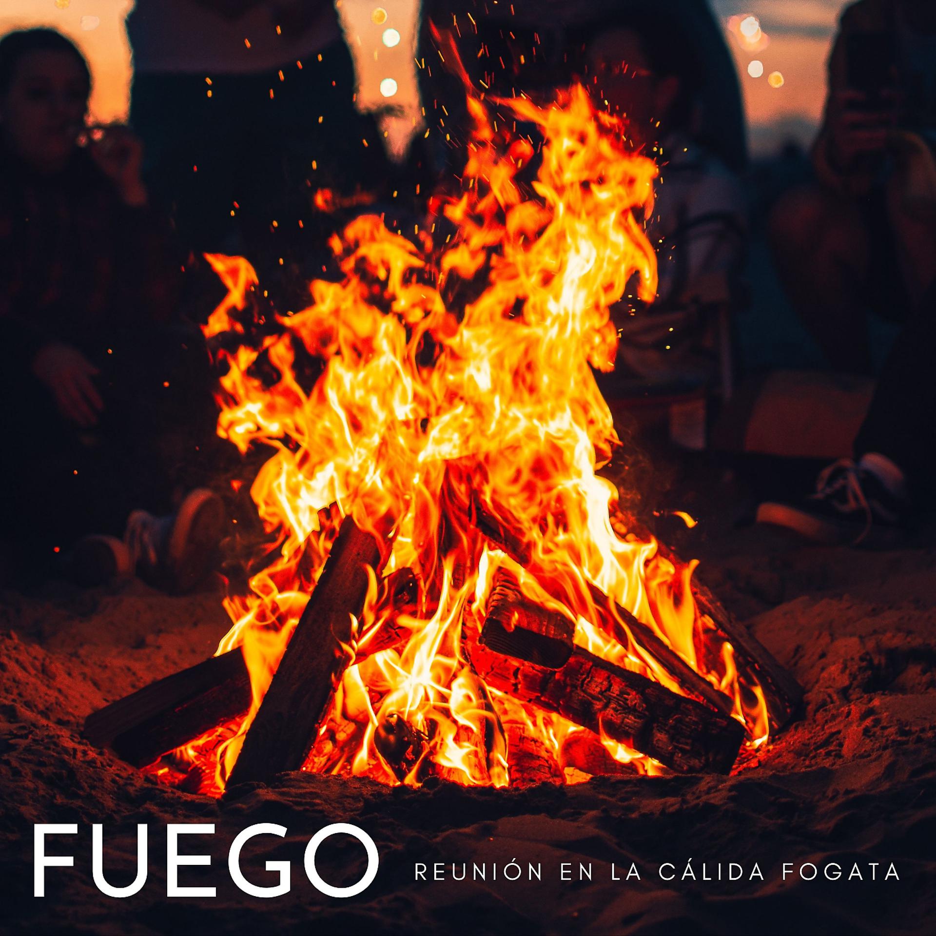 Постер альбома Fuego: Reunión En La Cálida Fogata