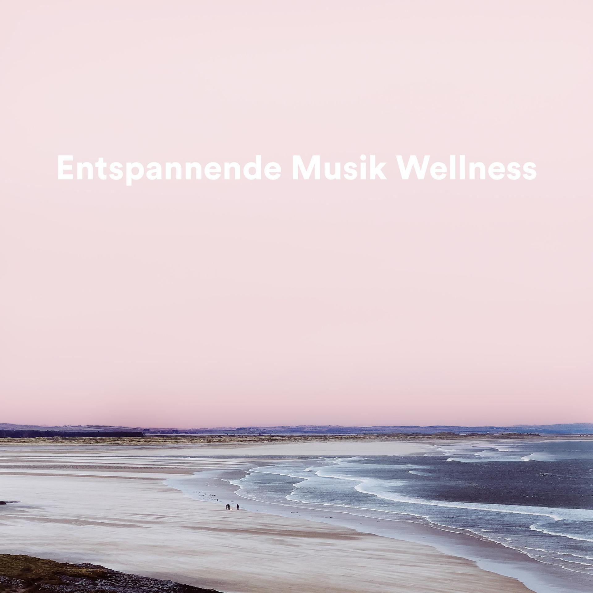 Постер альбома Entspannende Musik Wellness