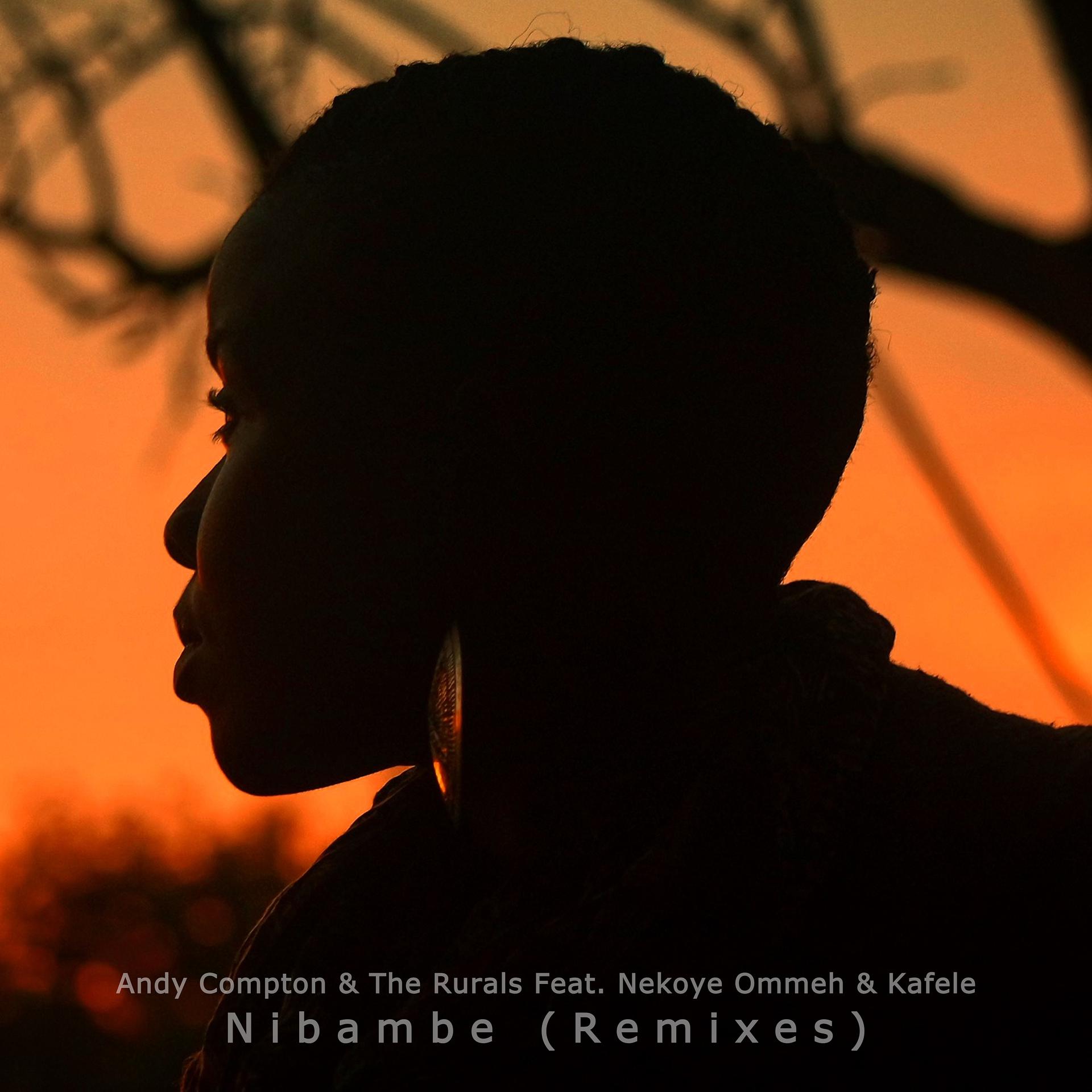 Постер альбома Nibambe (Remixes)